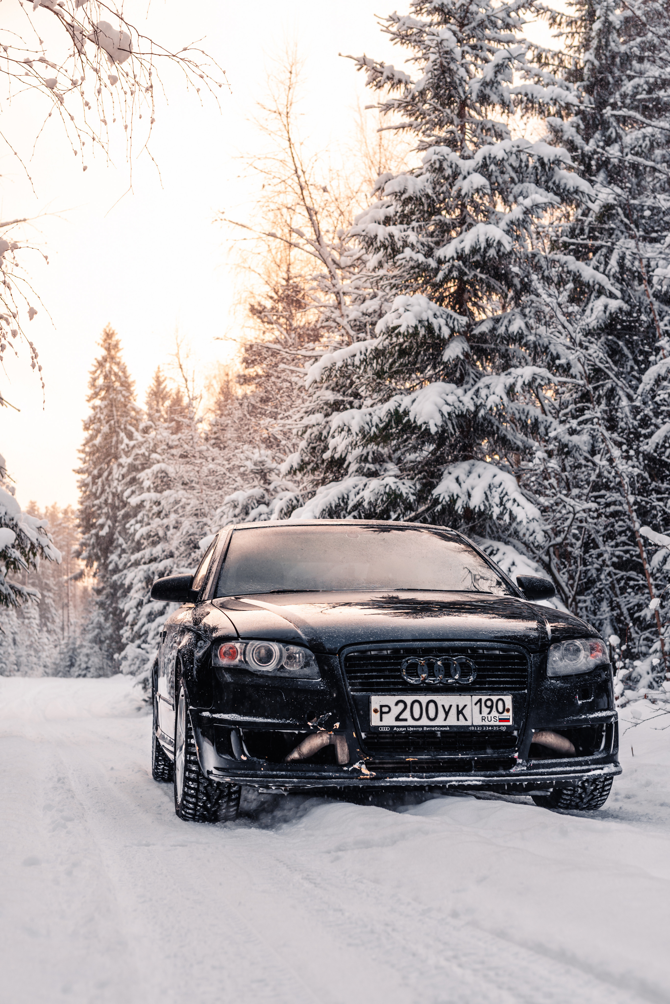 AUDI в лесу. Фотограф в Санкт-Петербурге и Ленинградской области