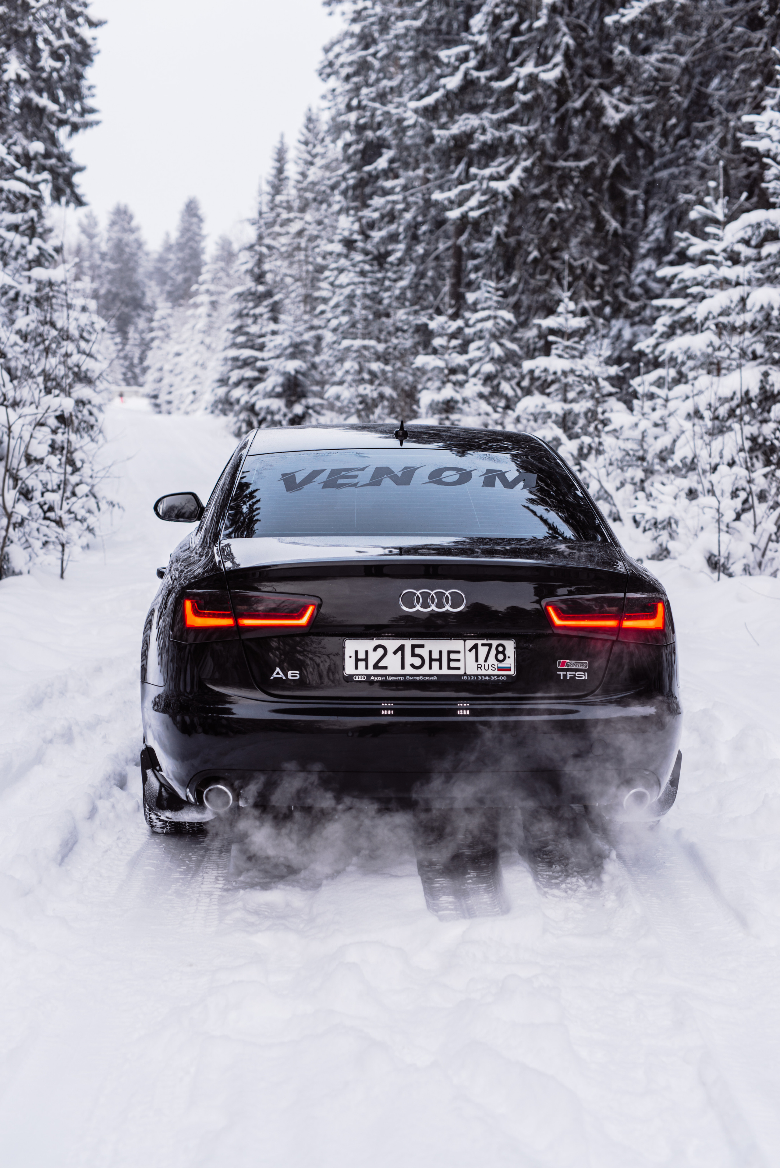 AUDI в лесу. Фотограф в Санкт-Петербурге и Ленинградской области