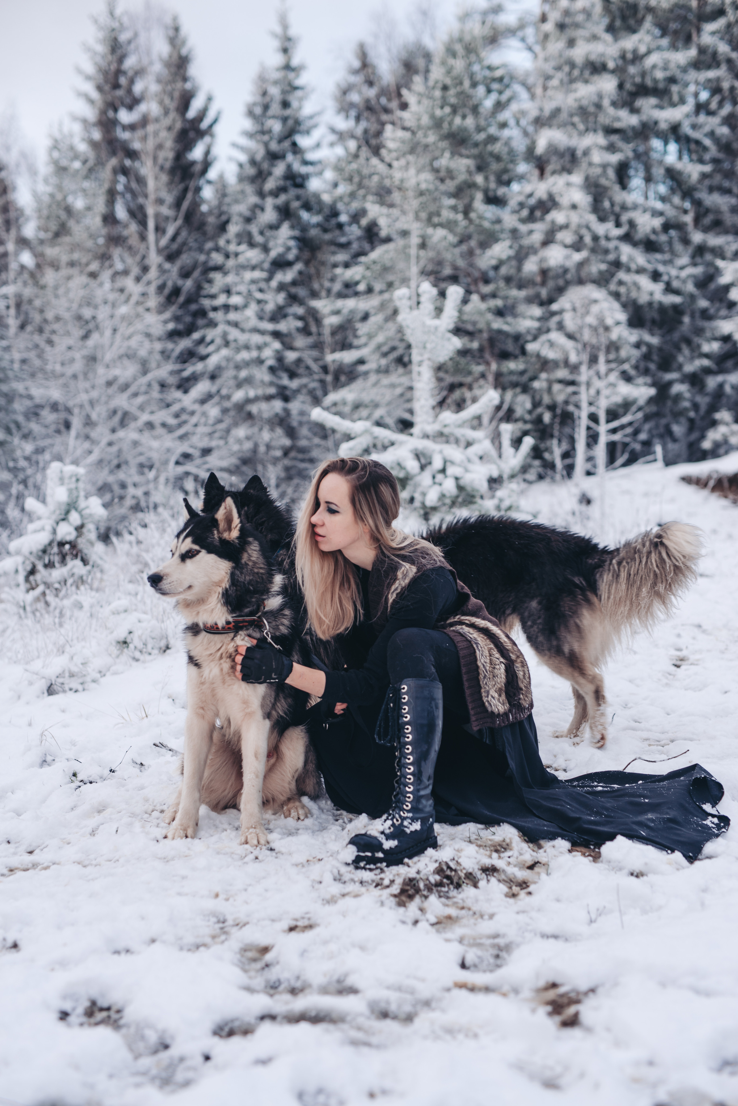 Сказка с хаски. Фотограф в Санкт-Петербурге и Ленинградской области