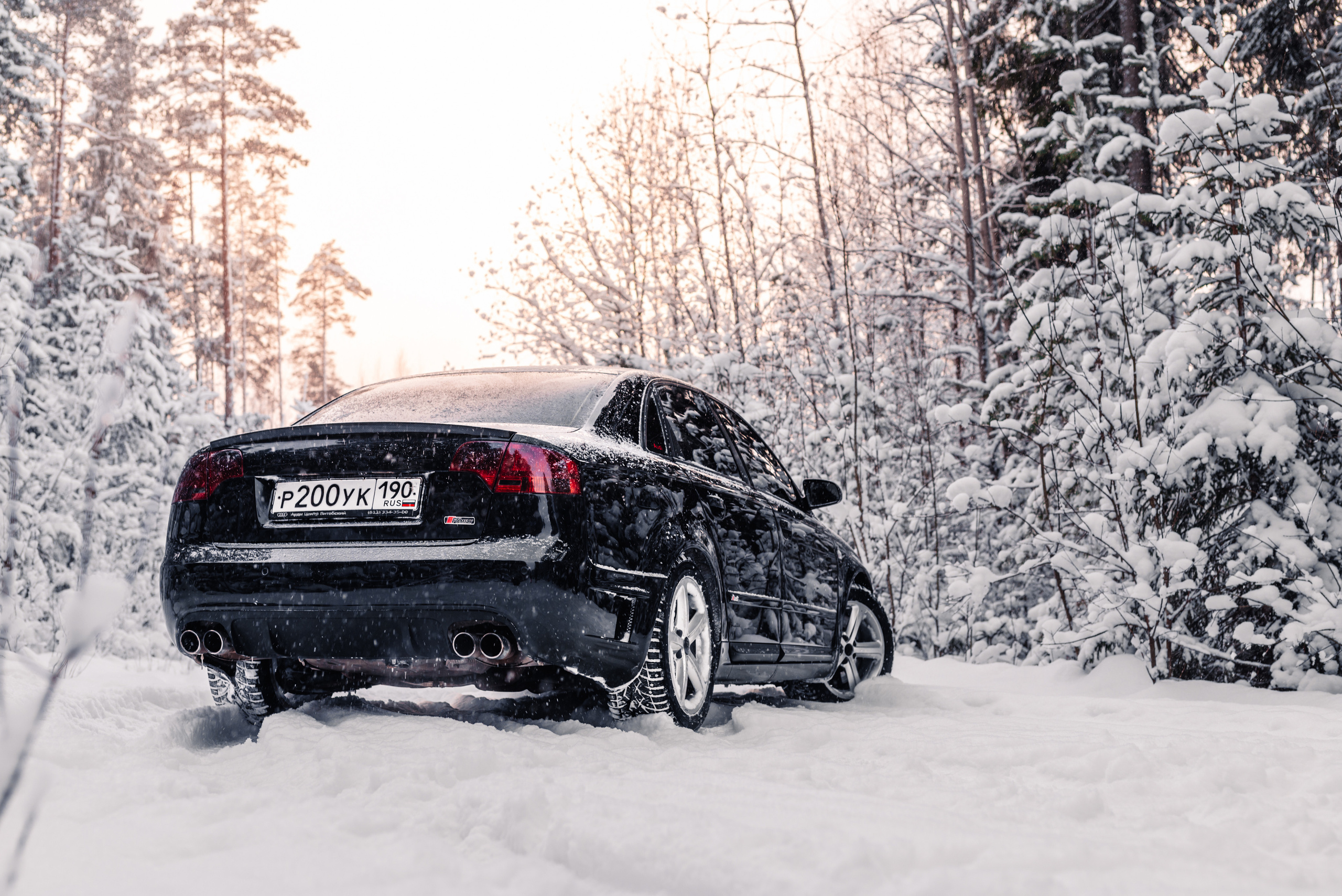 AUDI в лесу. Фотограф в Санкт-Петербурге и Ленинградской области