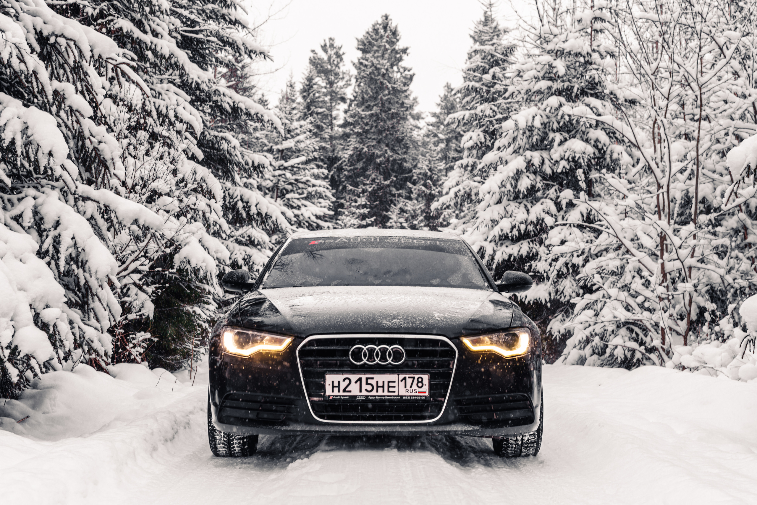 AUDI в лесу. Фотограф в Санкт-Петербурге и Ленинградской области