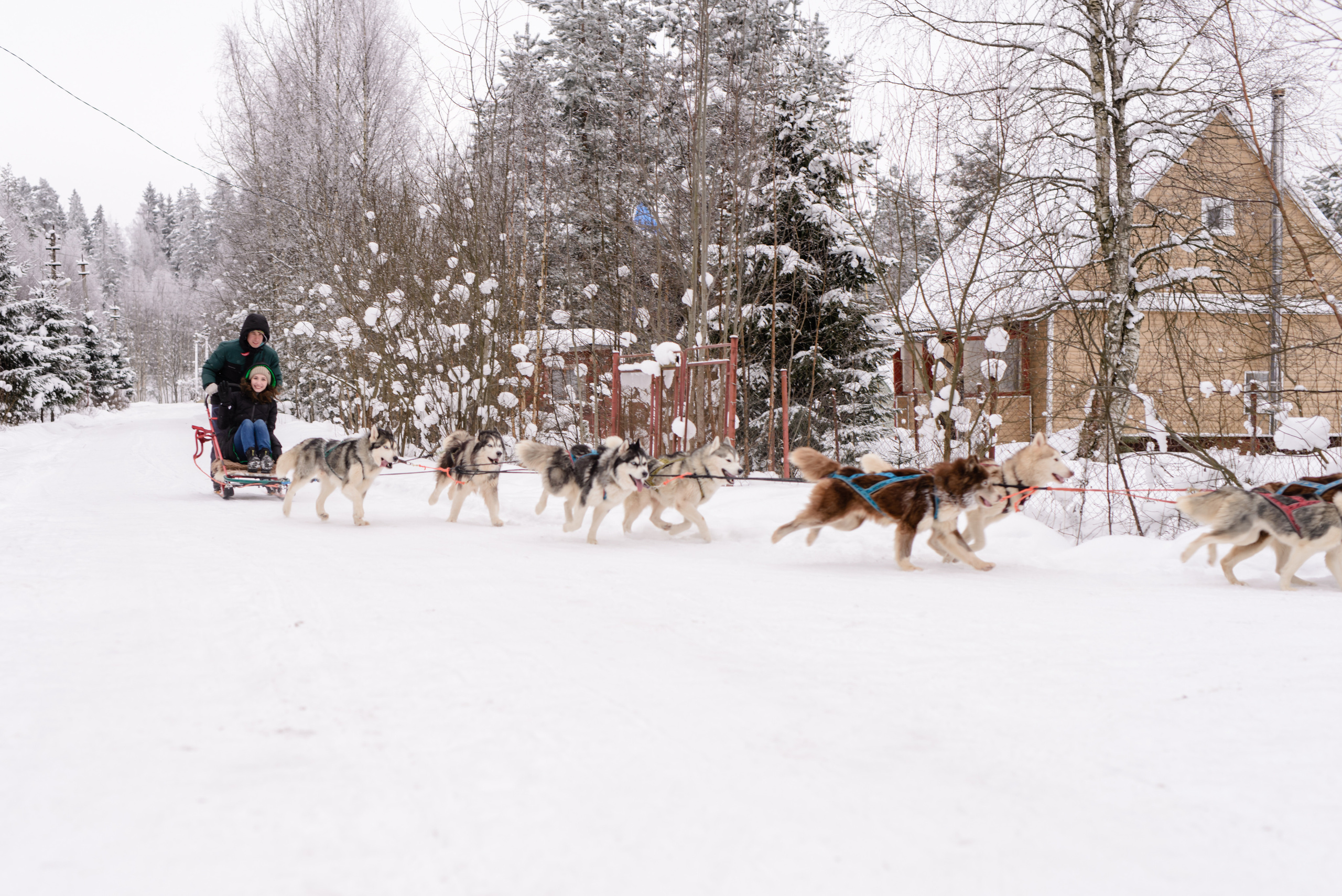 Огнен и Александра. Фотограф в Санкт-Петербурге и Ленинградской области