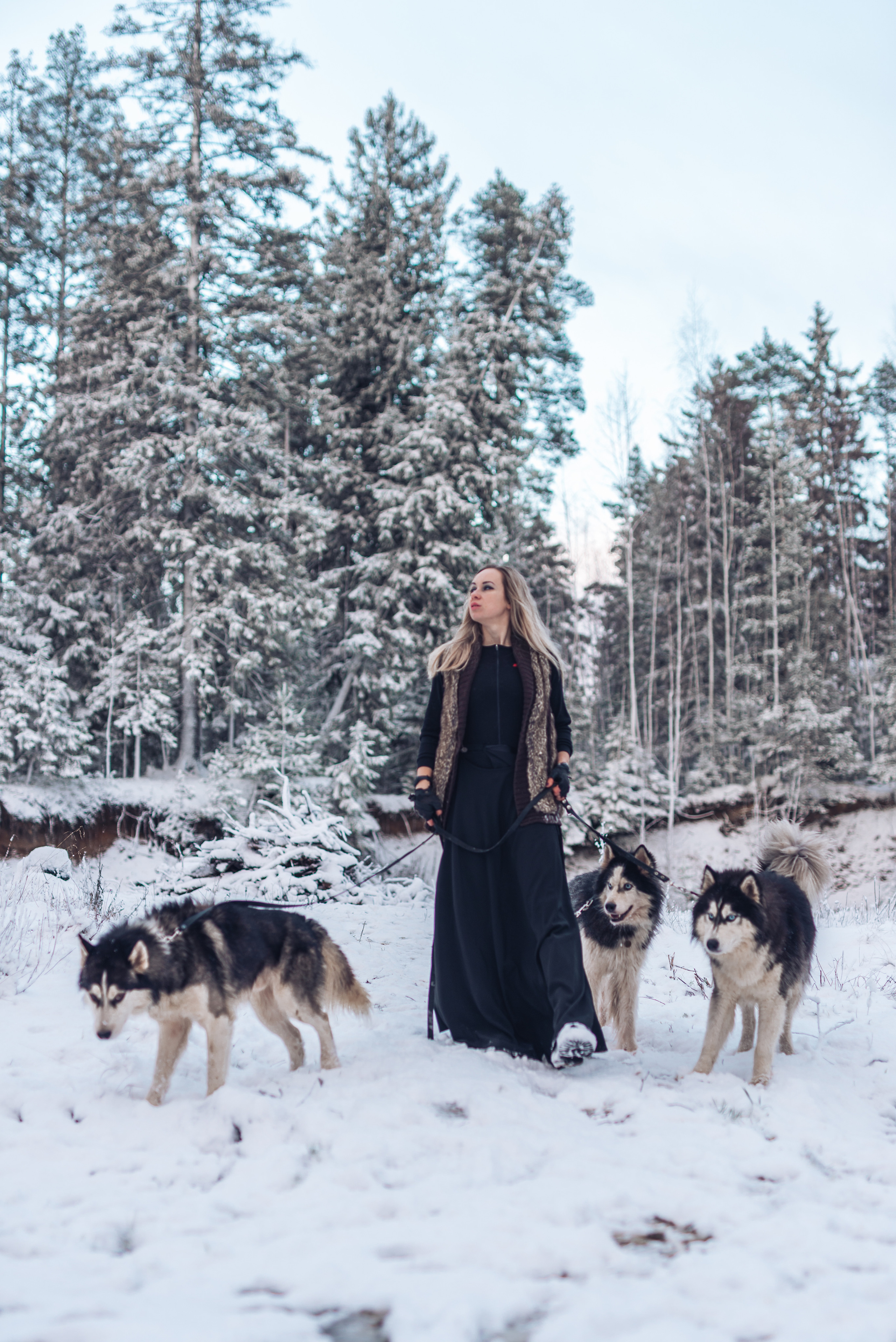 Сказка с хаски. Фотограф в Санкт-Петербурге и Ленинградской области