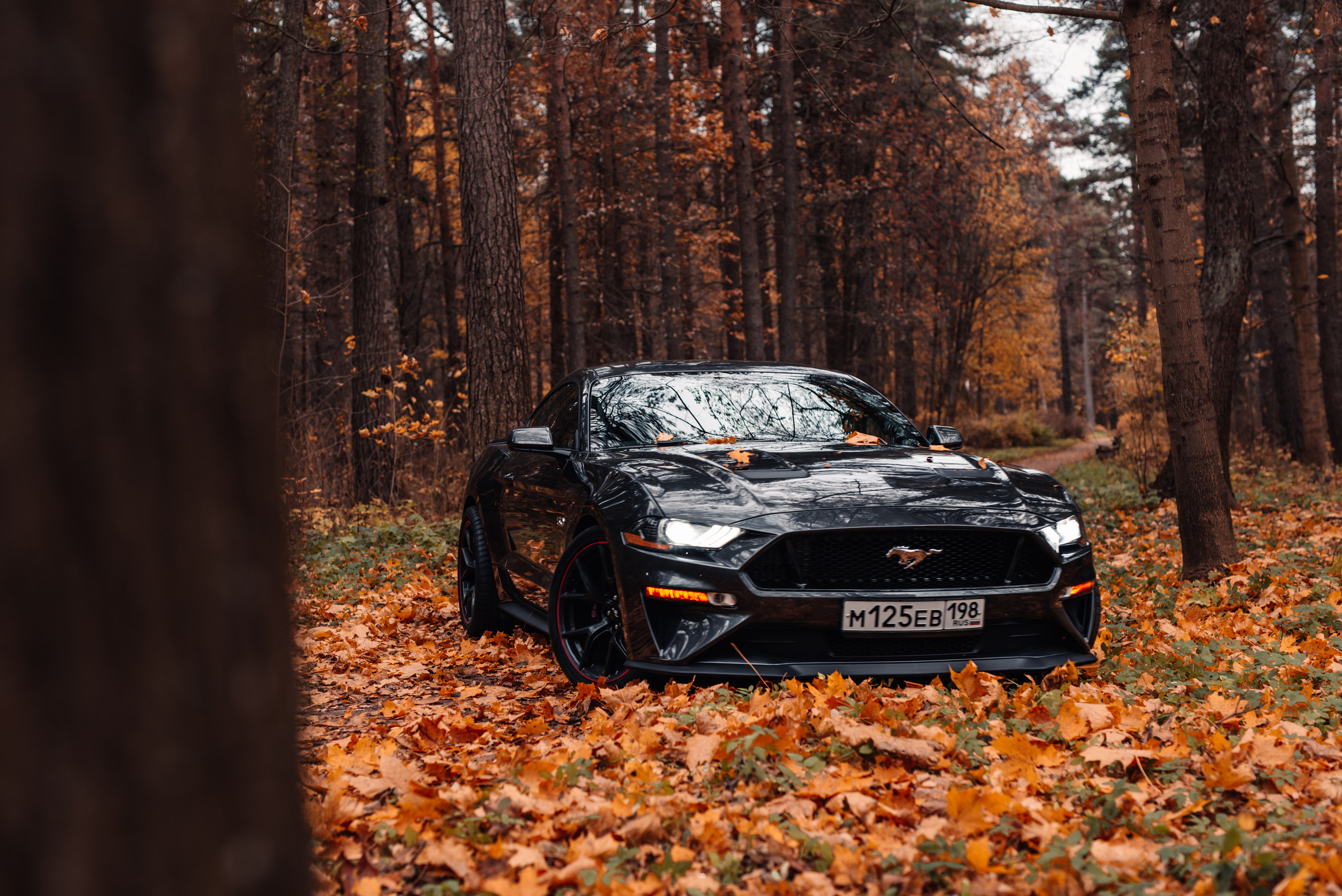Ford Mustang. Фотограф в Санкт-Петербурге и Ленинградской области