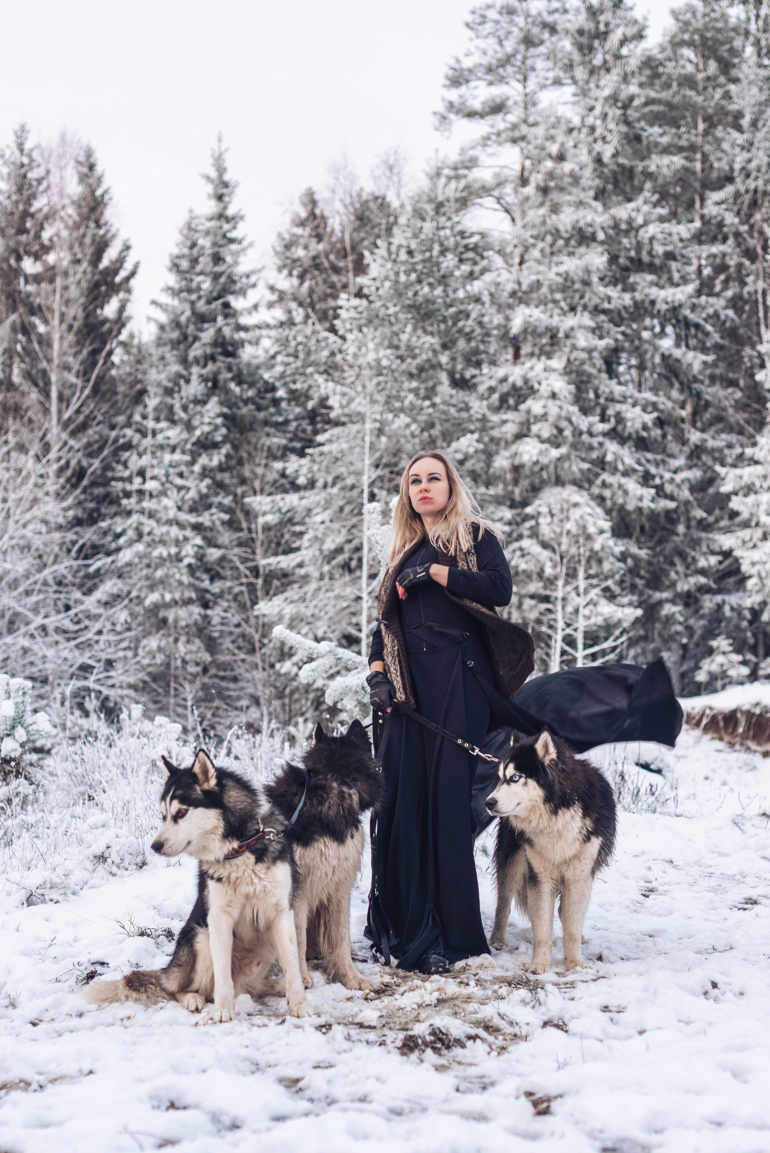 Сказка с хаски. Фотограф в Санкт-Петербурге и Ленинградской области