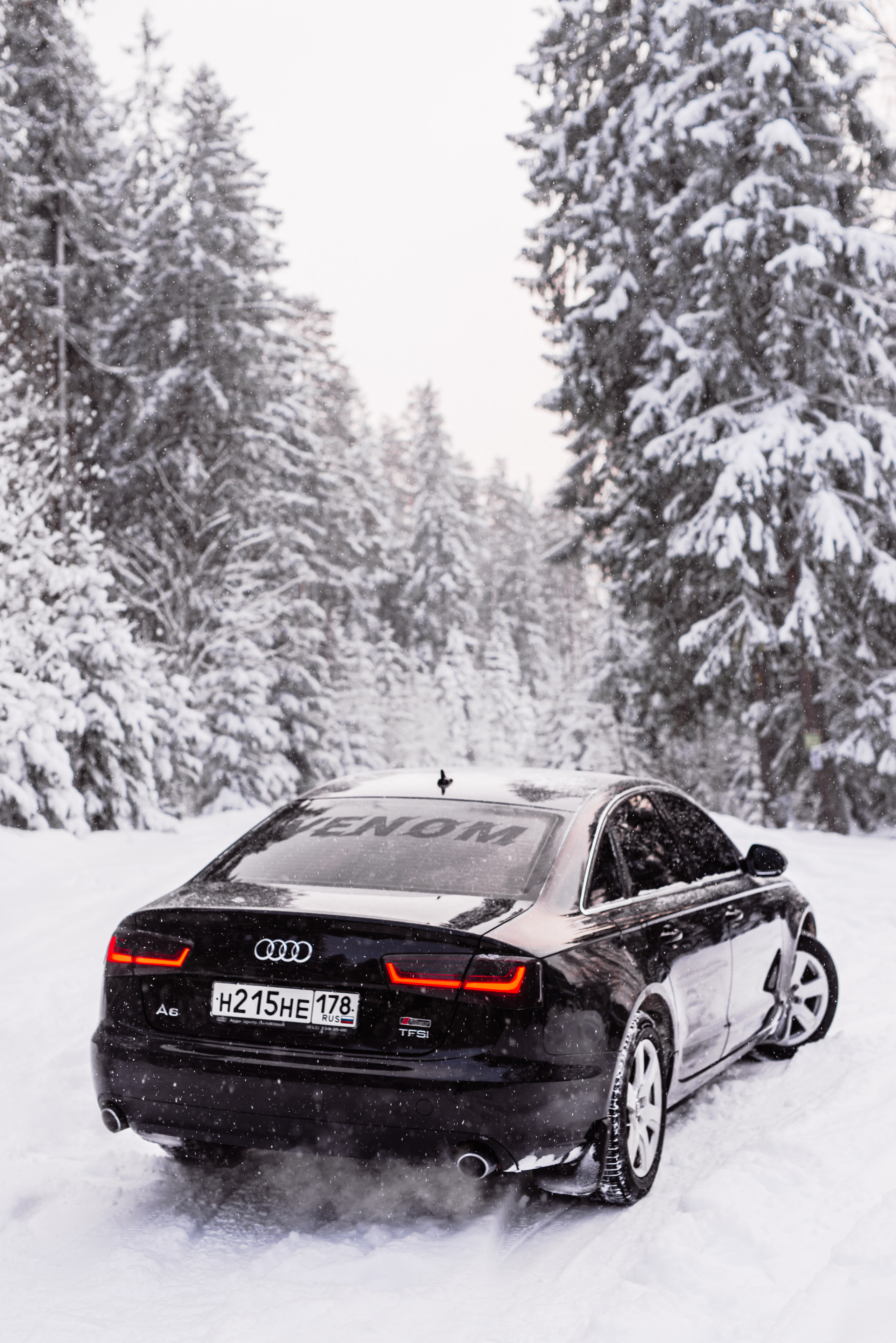 AUDI в лесу. Фотограф в Санкт-Петербурге и Ленинградской области