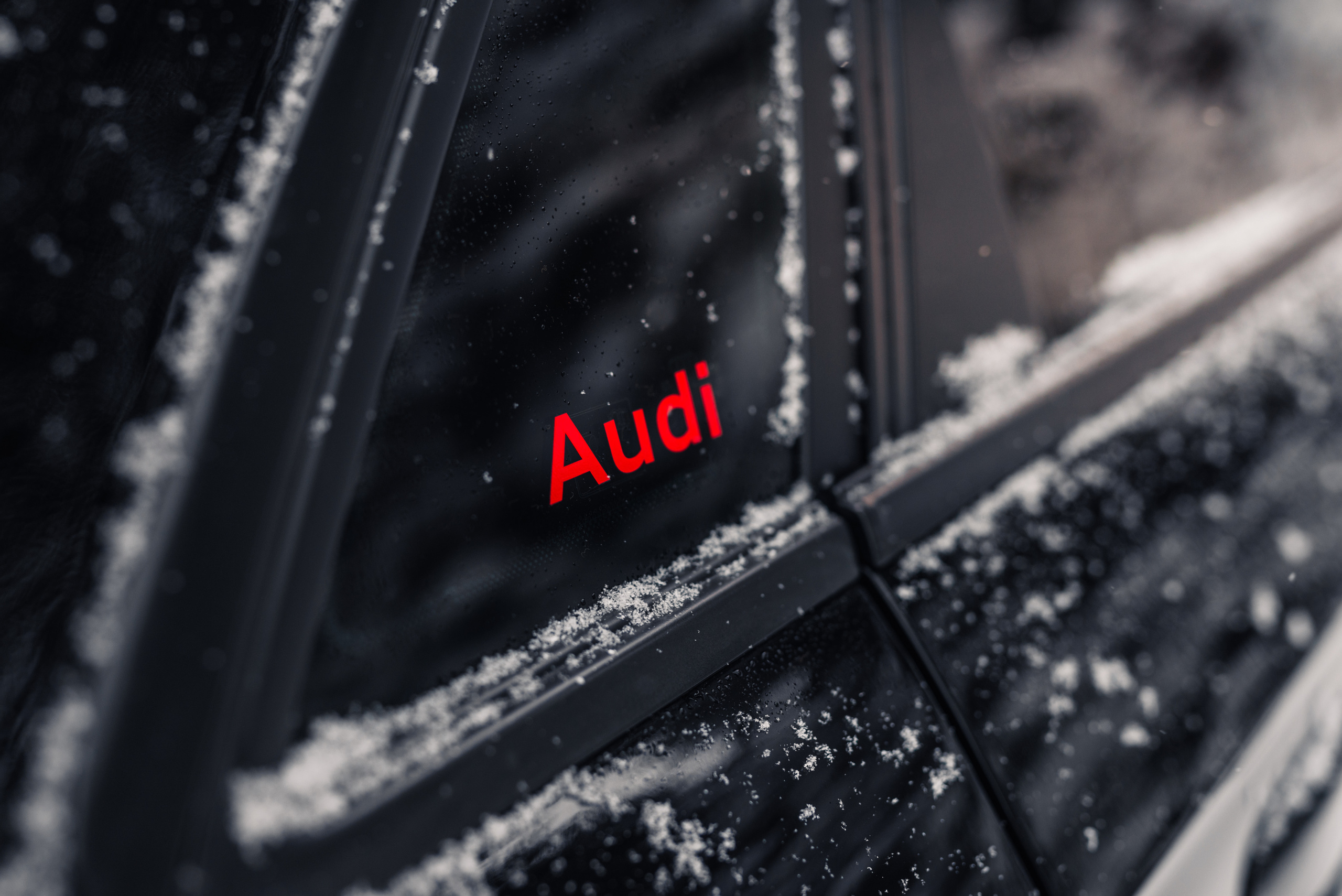 AUDI в лесу. Фотограф в Санкт-Петербурге и Ленинградской области