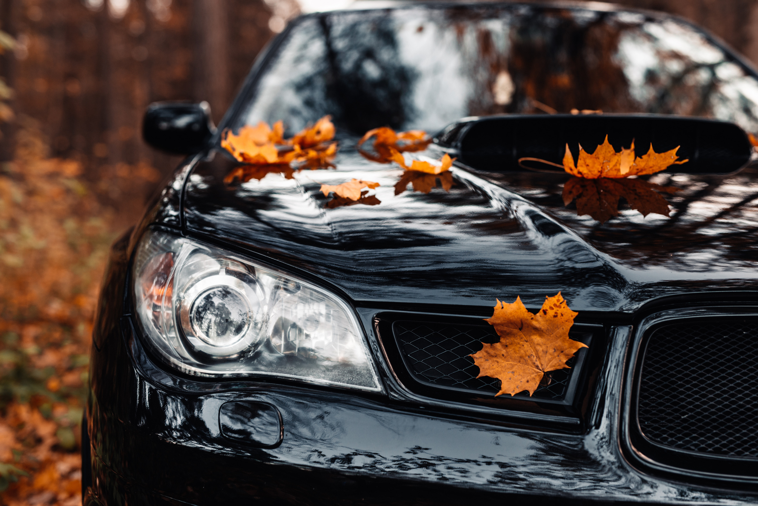 Фотограф в Санкт-Петербурге и Ленинградской области