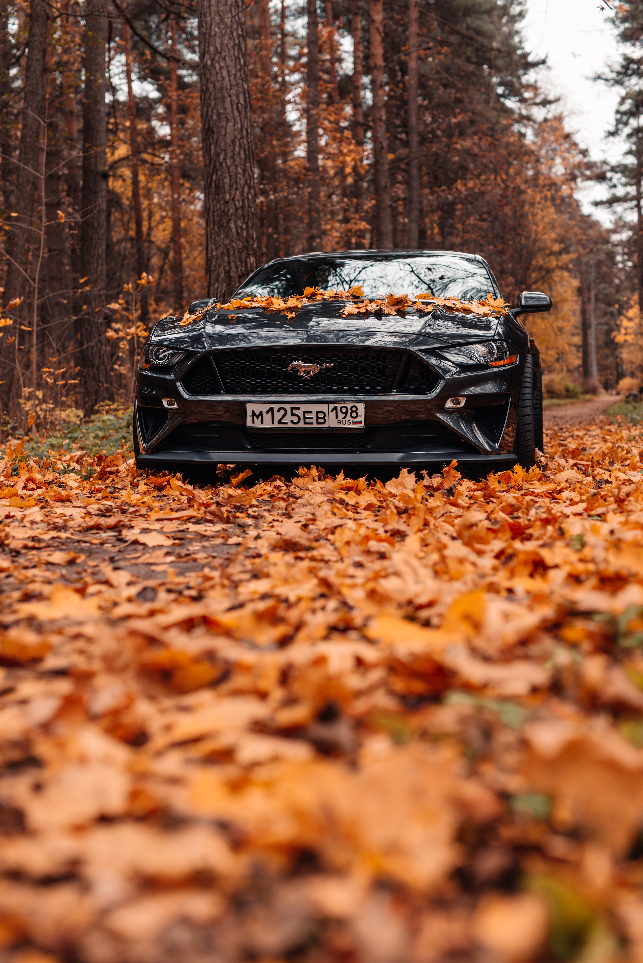 Ford Mustang. Фотограф в Санкт-Петербурге и Ленинградской области