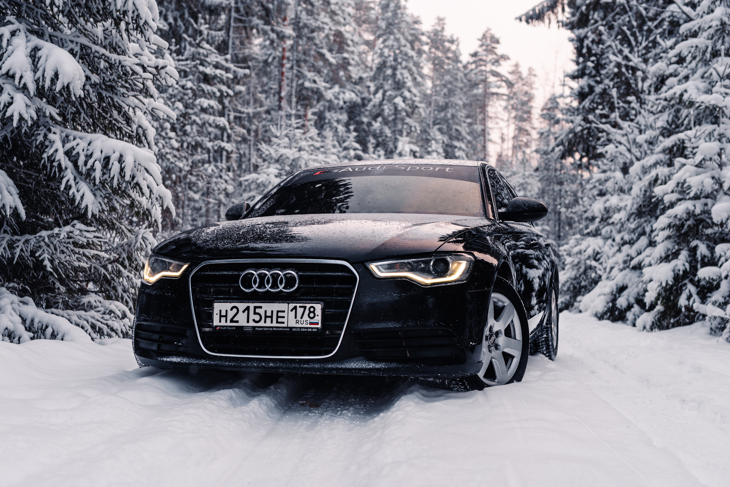 AUDI в лесу. Фотограф в Санкт-Петербурге и Ленинградской области