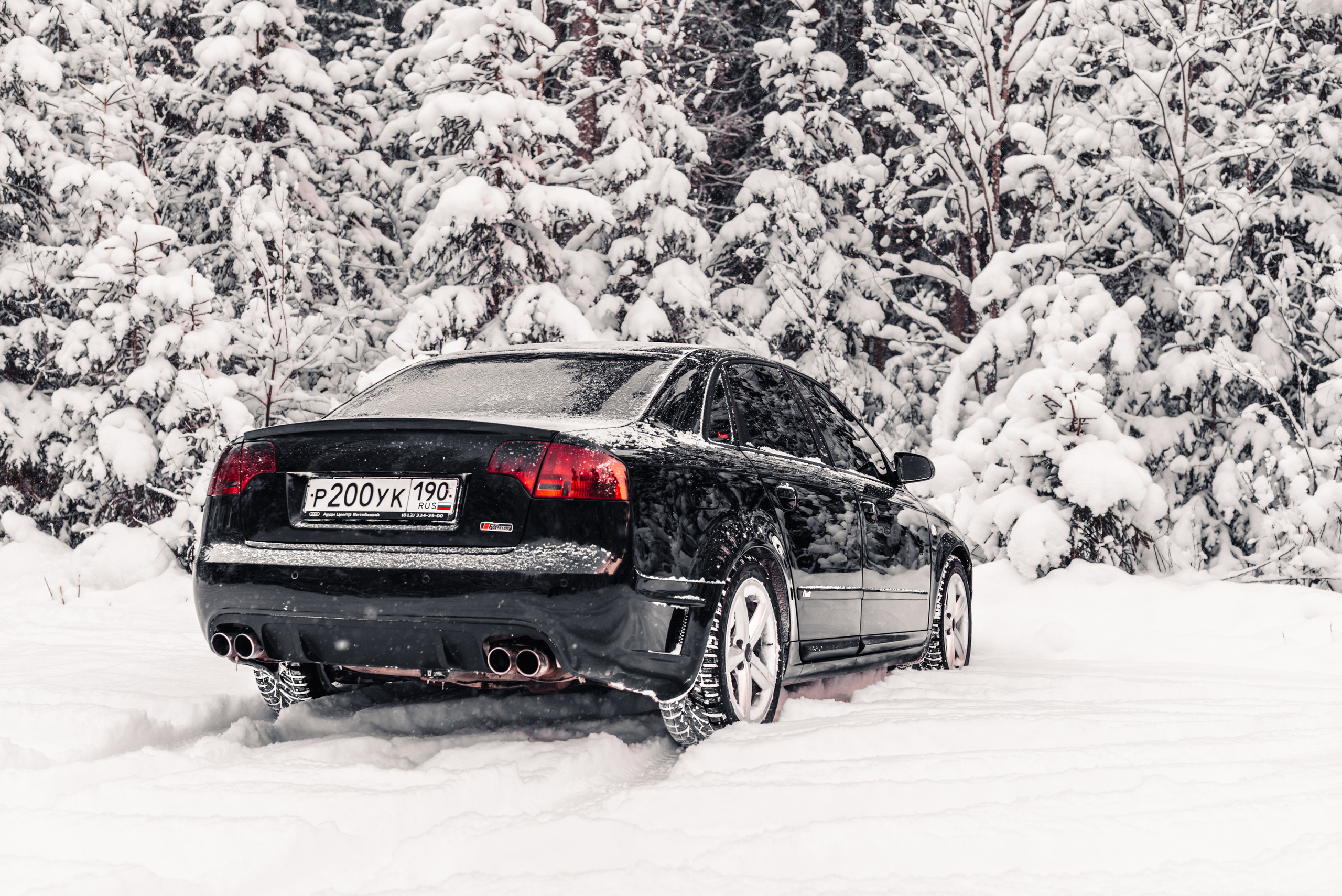 AUDI в лесу. Фотограф в Санкт-Петербурге и Ленинградской области