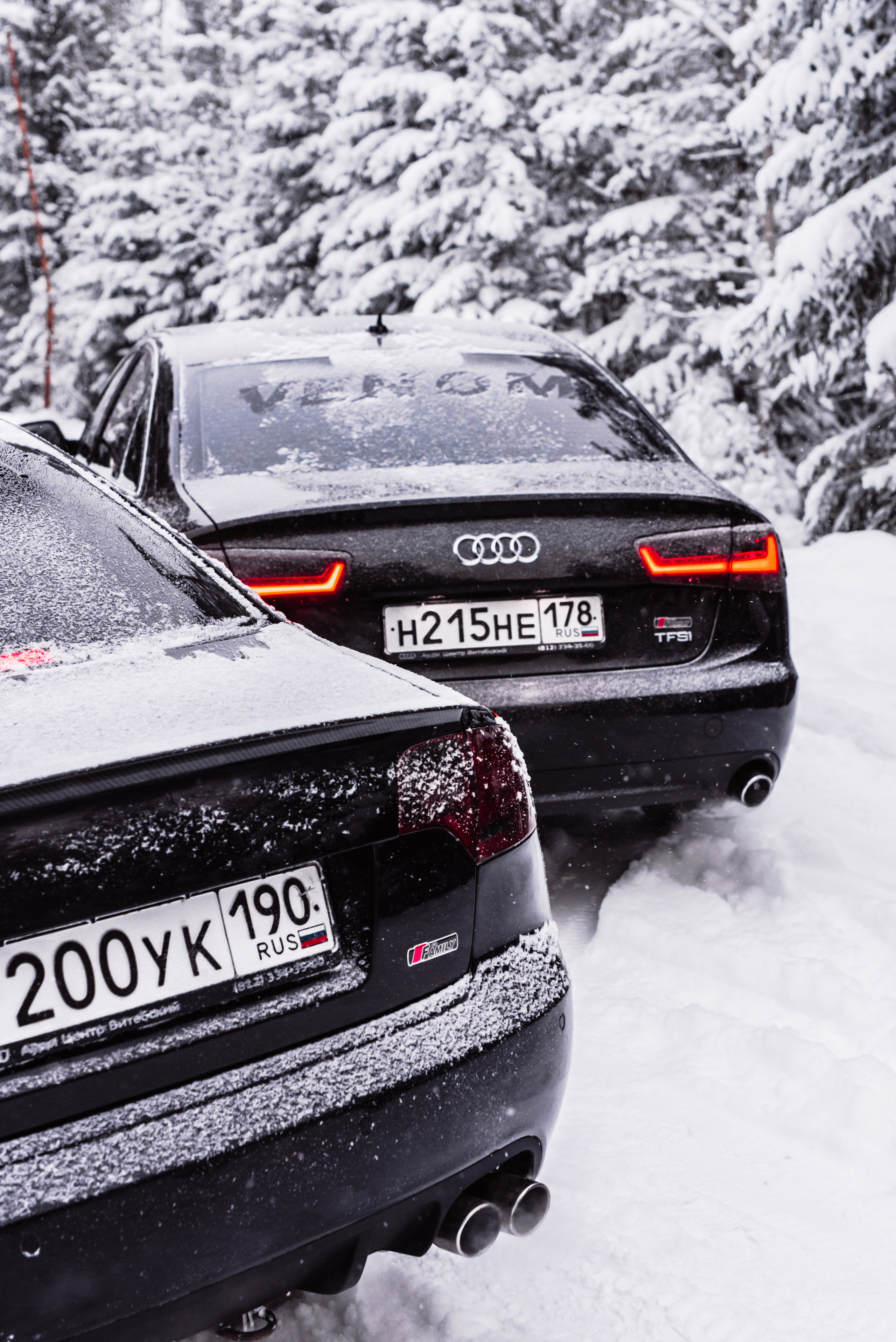 AUDI в лесу. Фотограф в Санкт-Петербурге и Ленинградской области