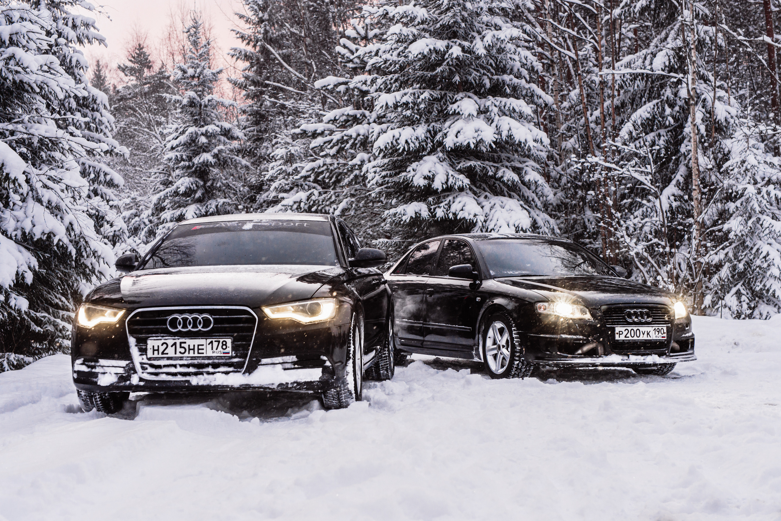 AUDI в лесу. Фотограф в Санкт-Петербурге и Ленинградской области