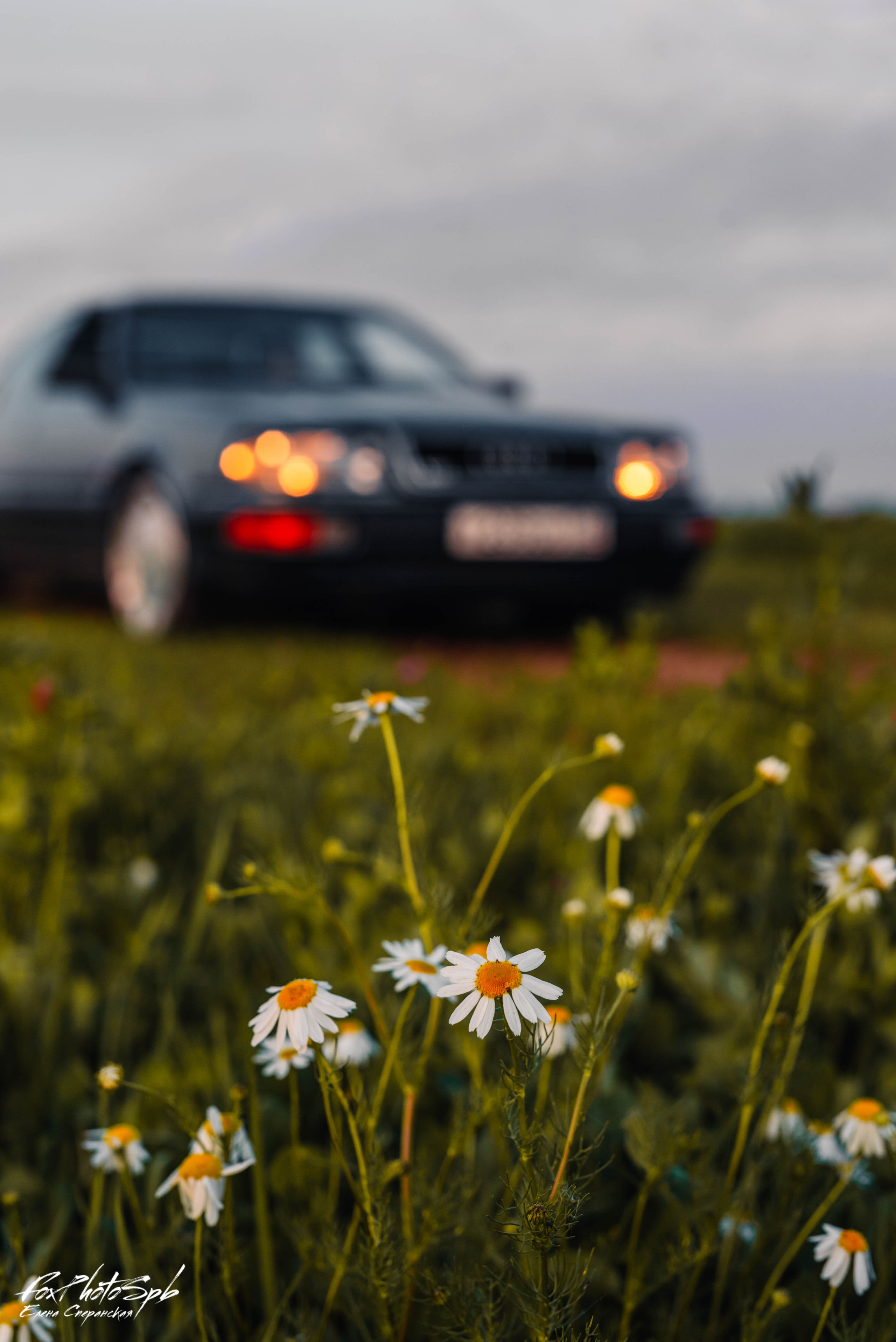 Audi V8. Фотограф в Санкт-Петербурге и Ленинградской области