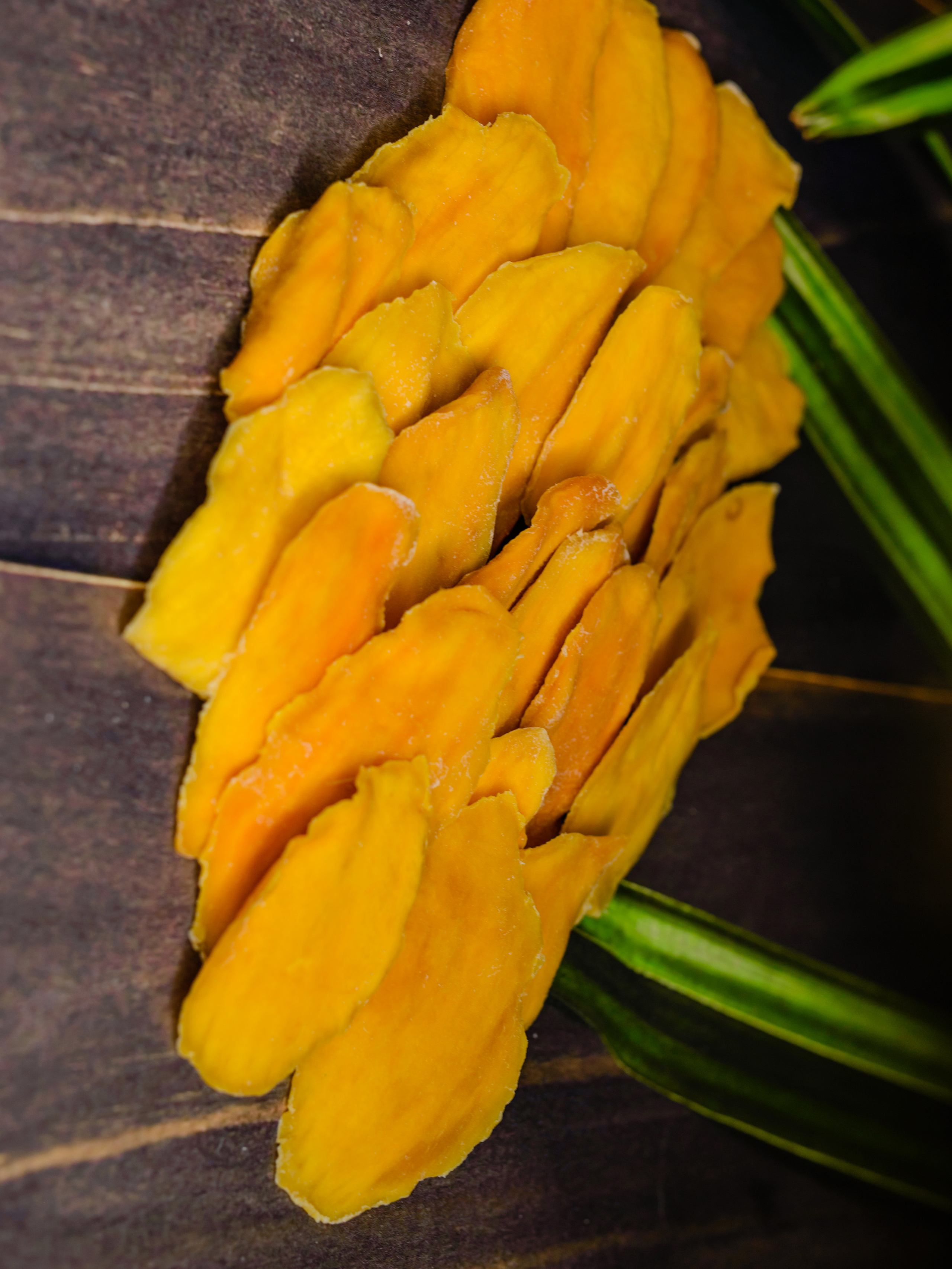 Манго. Фотограф в Санкт-Петербурге и Ленинградской области