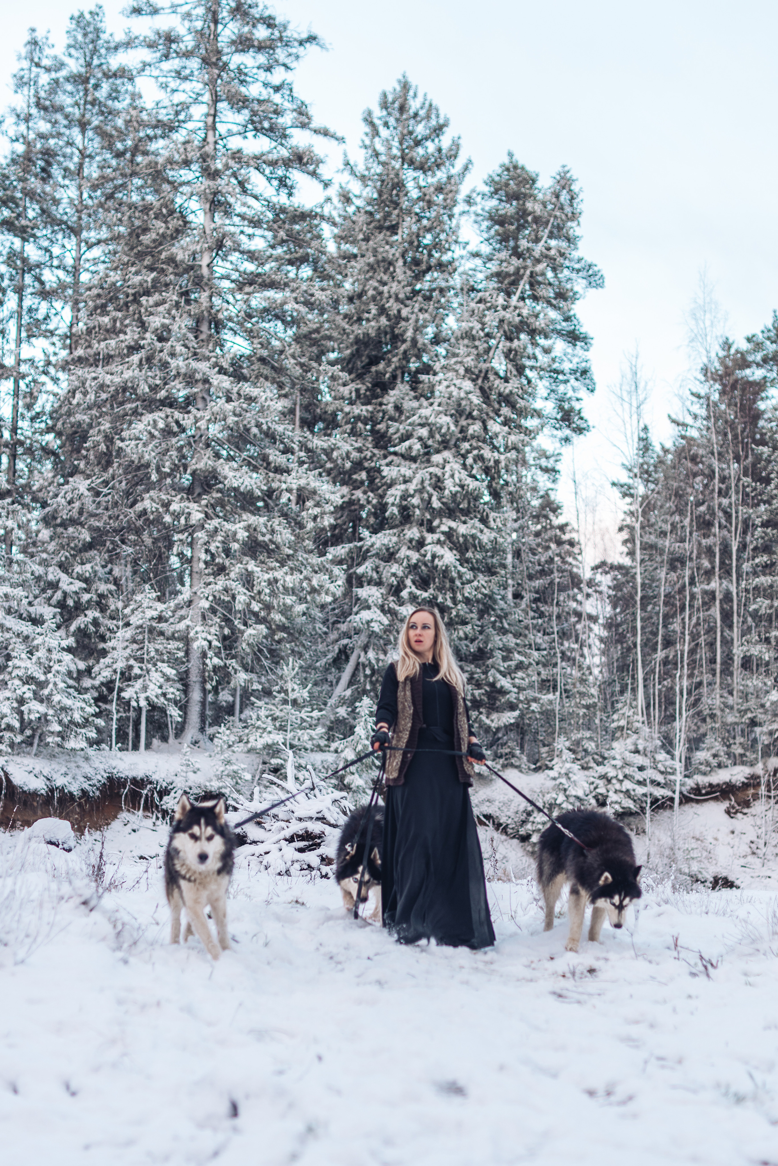 Сказка с хаски. Фотограф в Санкт-Петербурге и Ленинградской области