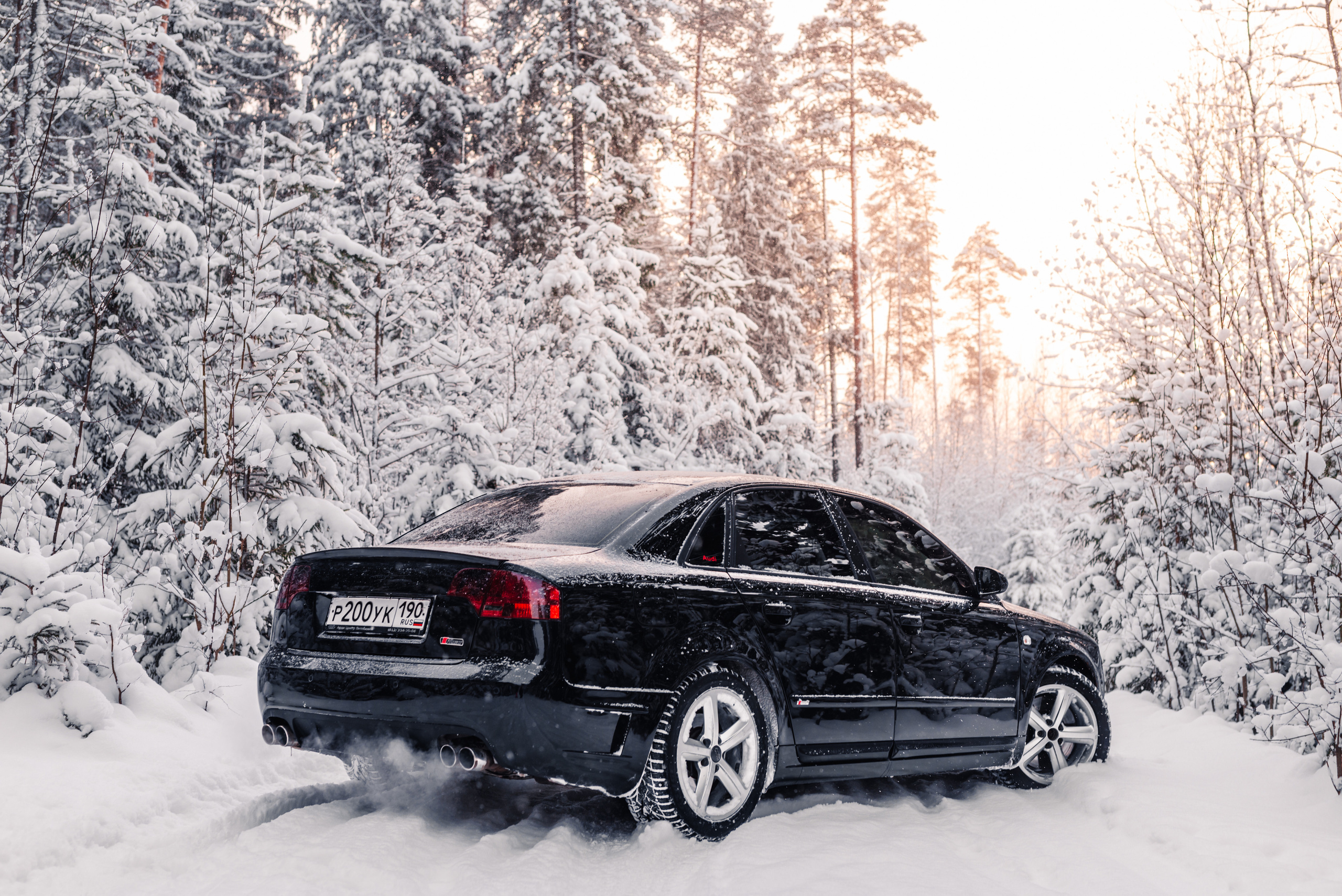 AUDI в лесу. Фотограф в Санкт-Петербурге и Ленинградской области