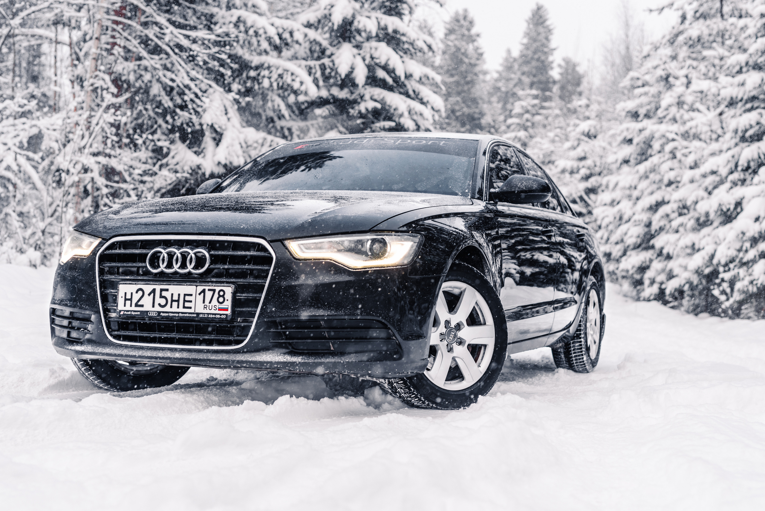 AUDI в лесу. Фотограф в Санкт-Петербурге и Ленинградской области