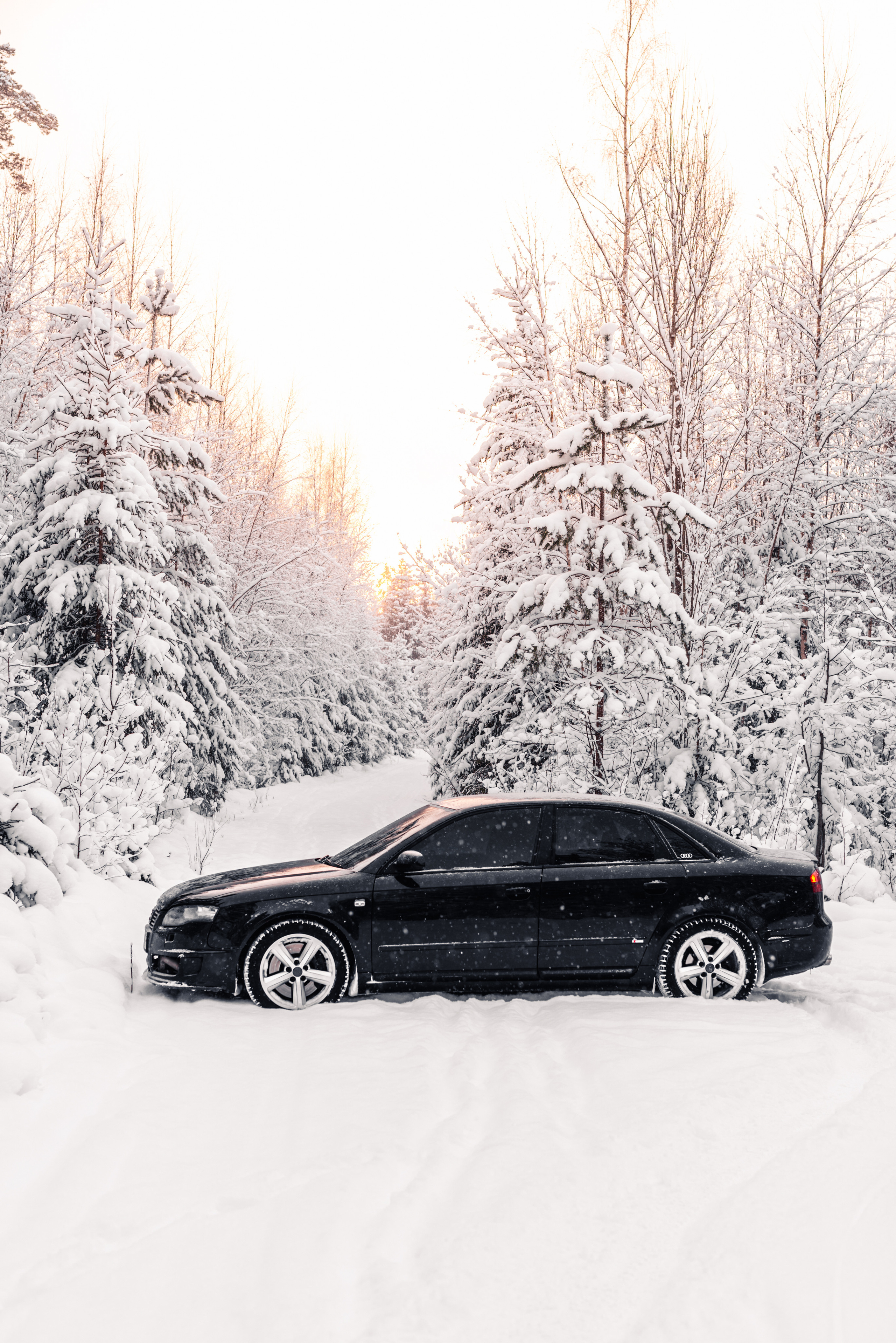 AUDI в лесу. Фотограф в Санкт-Петербурге и Ленинградской области