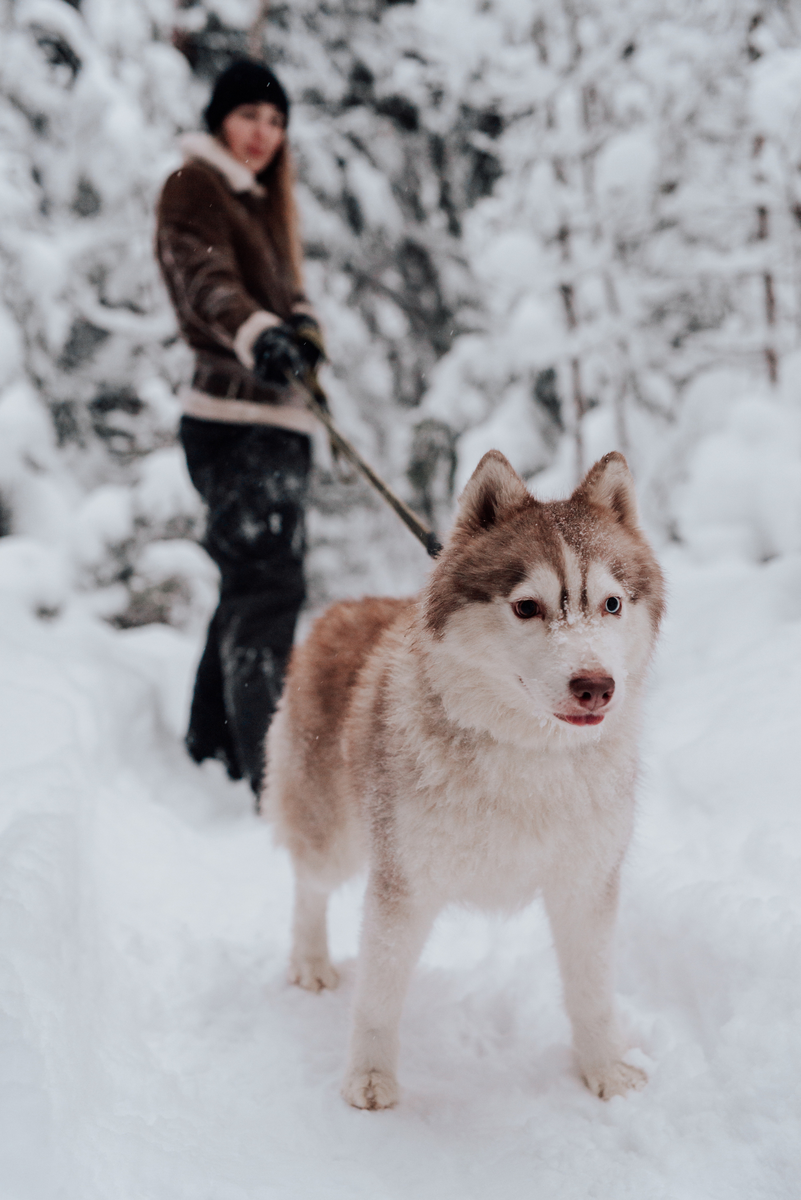 Света. Фотограф в Санкт-Петербурге и Ленинградской области