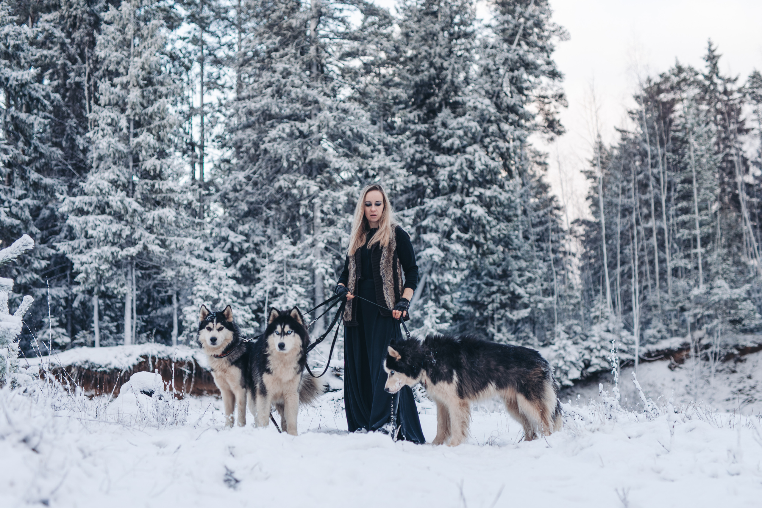 Сказка с хаски. Фотограф в Санкт-Петербурге и Ленинградской области