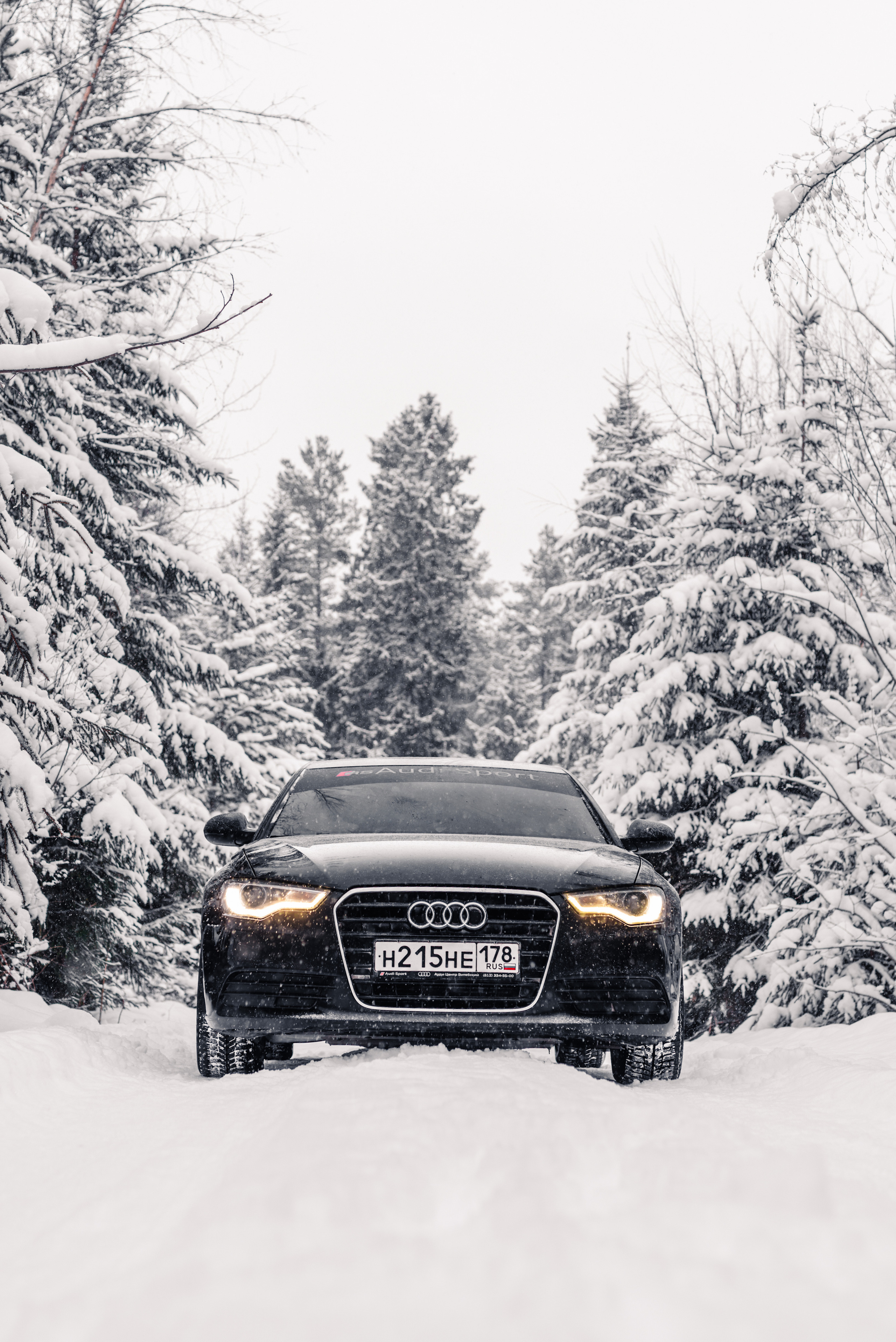 AUDI в лесу. Фотограф в Санкт-Петербурге и Ленинградской области