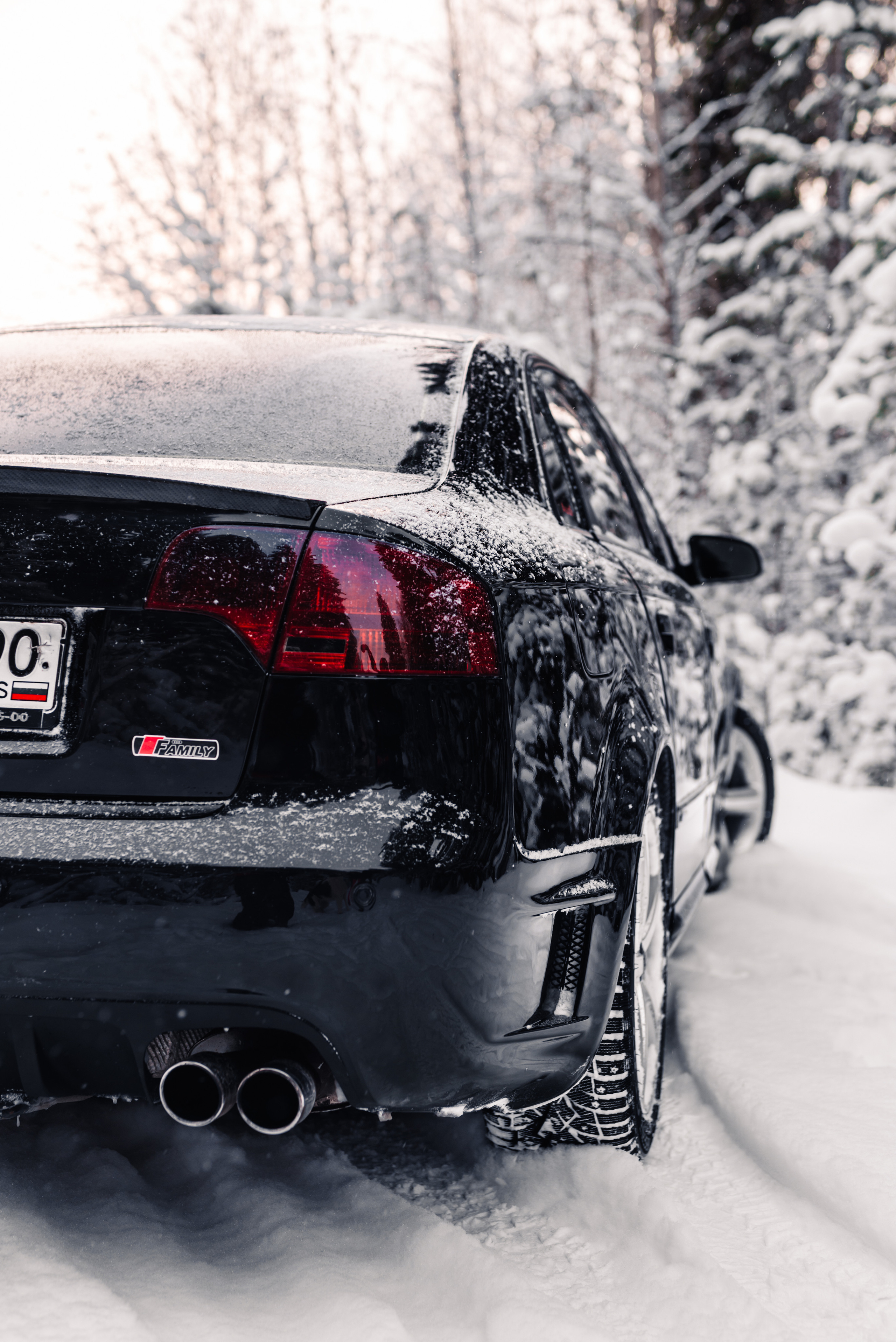 AUDI в лесу. Фотограф в Санкт-Петербурге и Ленинградской области