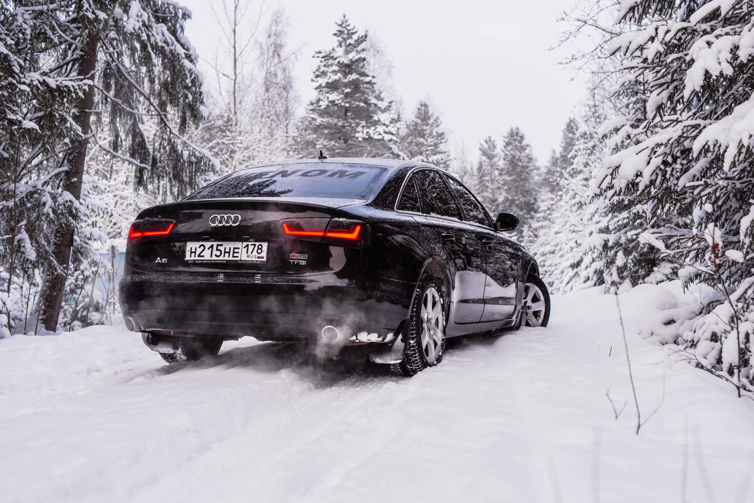 AUDI в лесу. Фотограф в Санкт-Петербурге и Ленинградской области