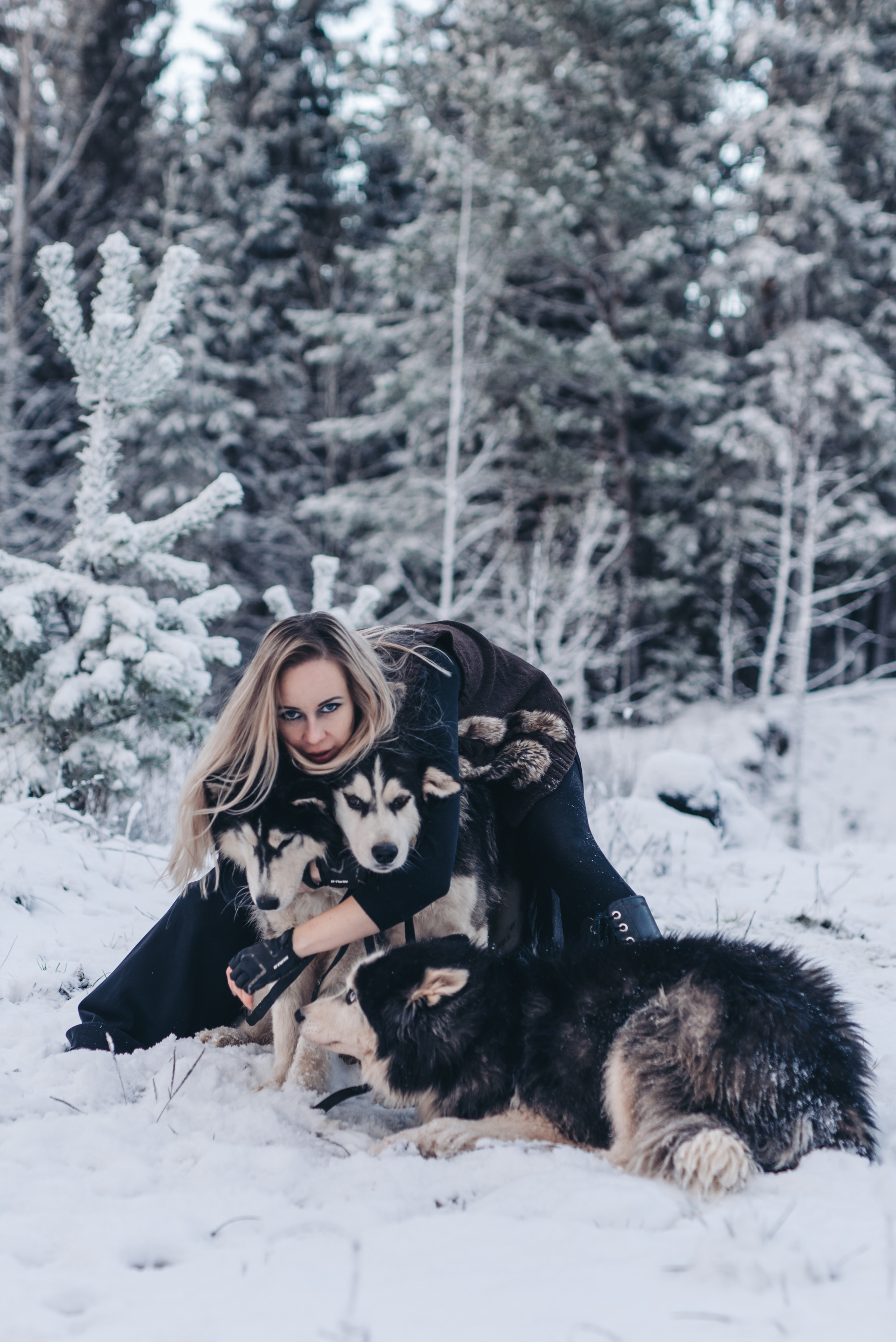 Сказка с хаски. Фотограф в Санкт-Петербурге и Ленинградской области