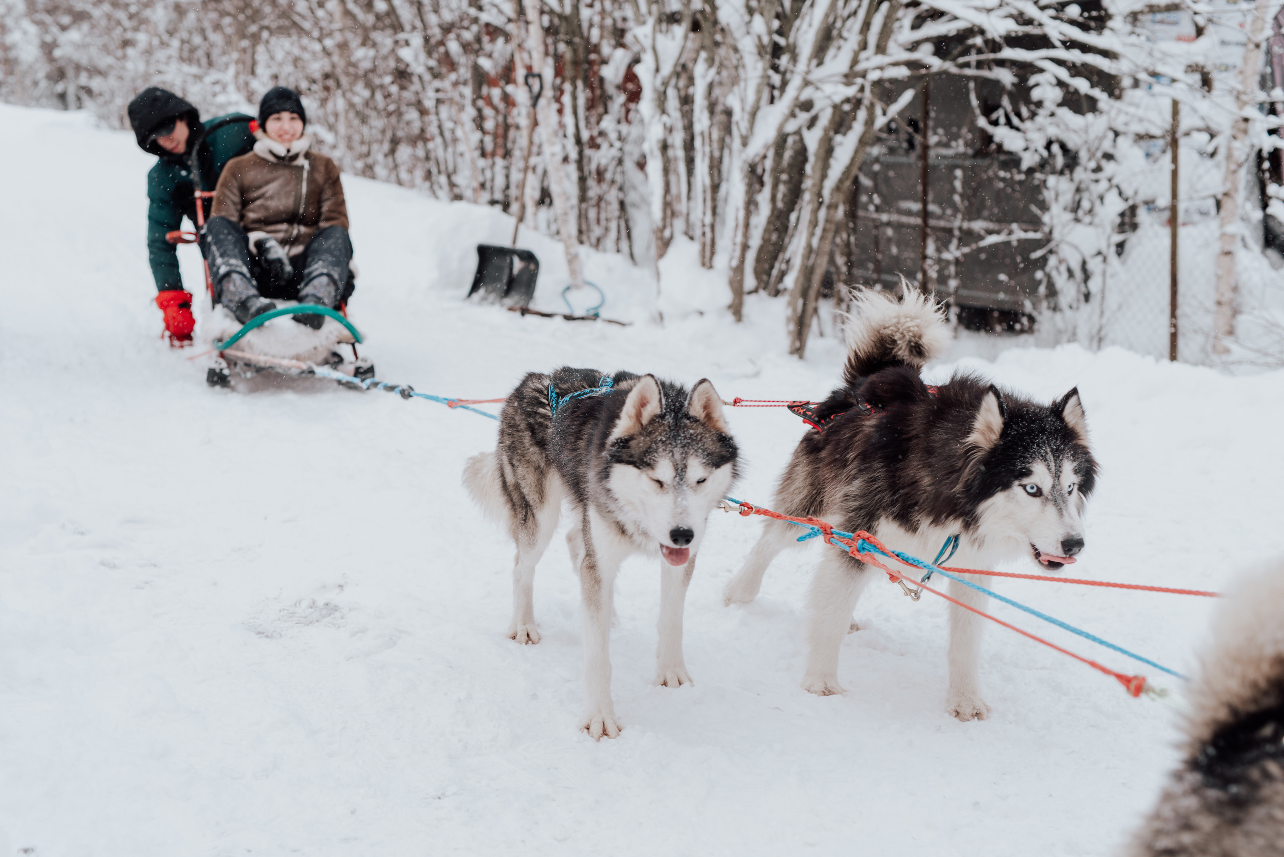 Света. Фотограф в Санкт-Петербурге и Ленинградской области
