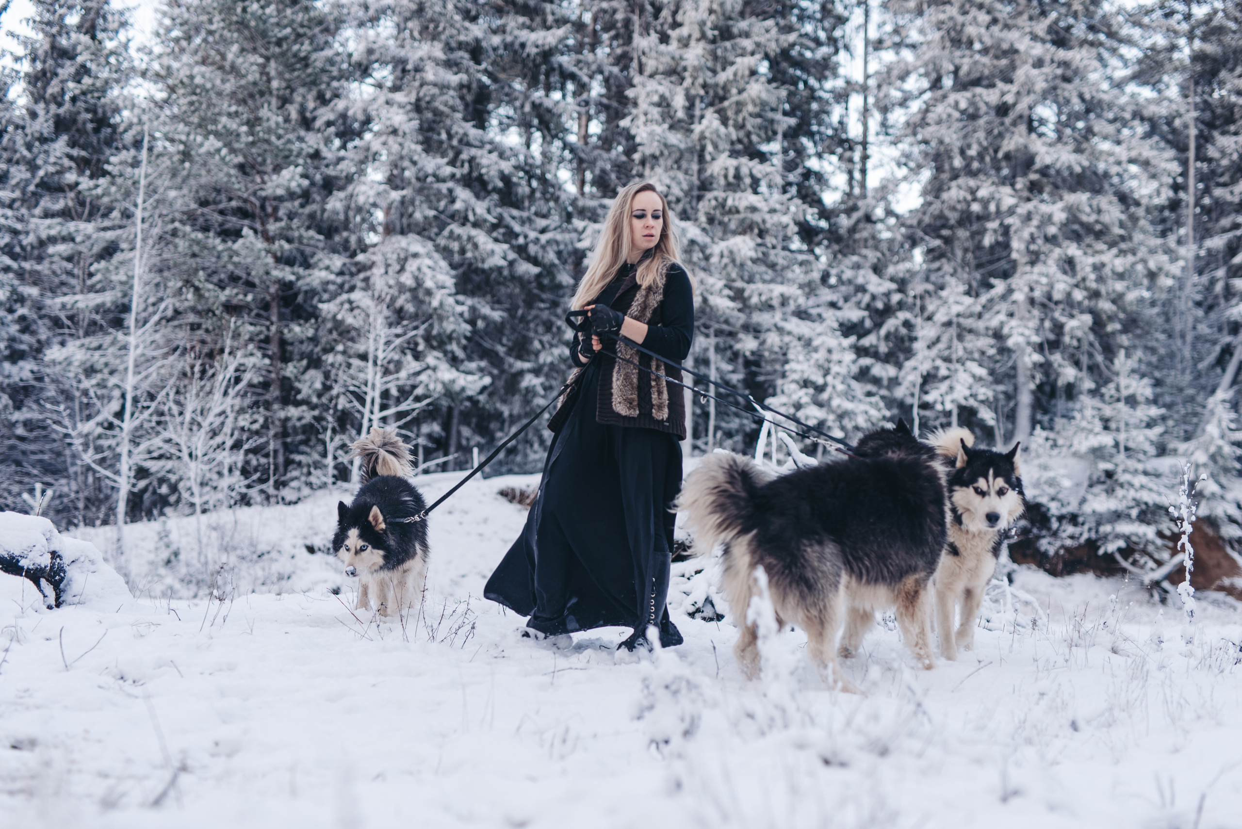 Сказка с хаски. Фотограф в Санкт-Петербурге и Ленинградской области