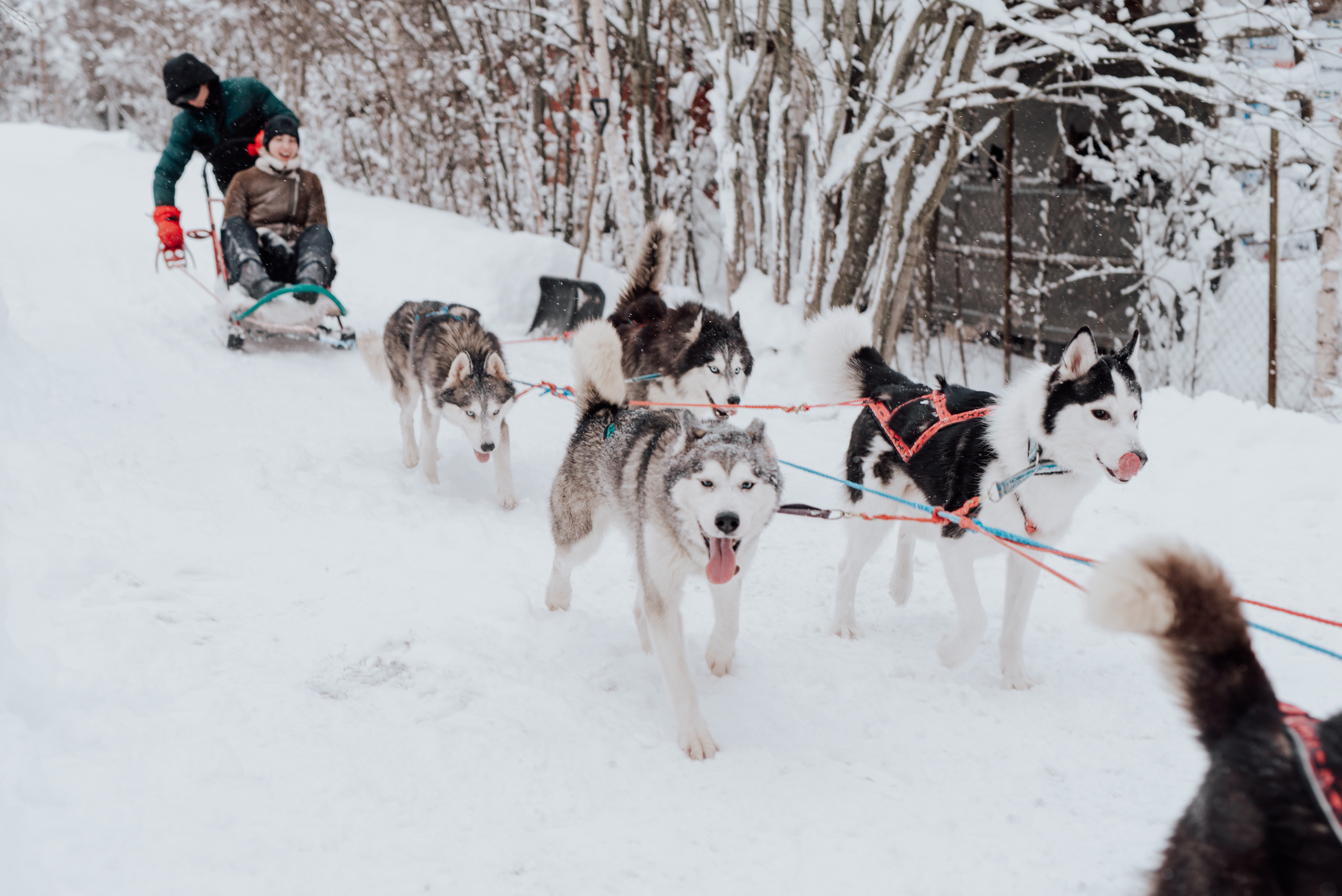 Света. Фотограф в Санкт-Петербурге и Ленинградской области