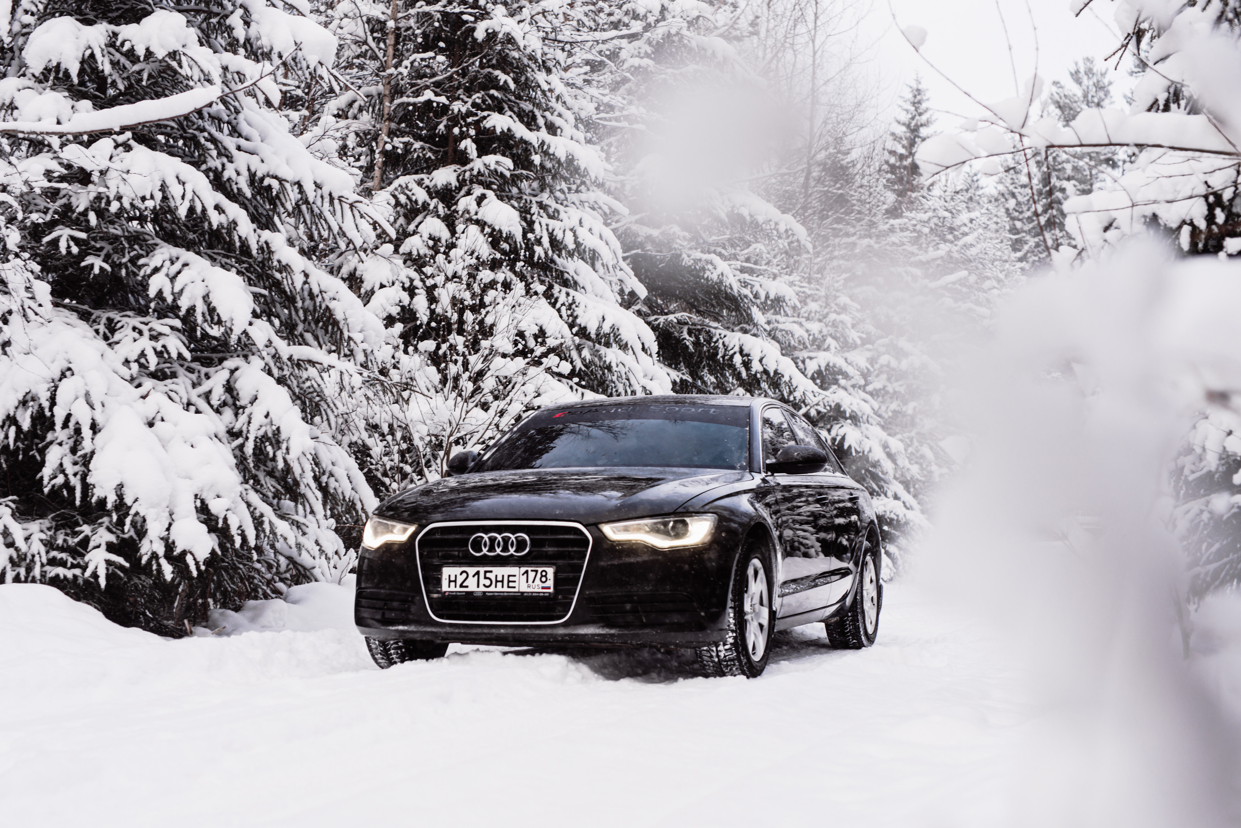 AUDI в лесу. Фотограф в Санкт-Петербурге и Ленинградской области