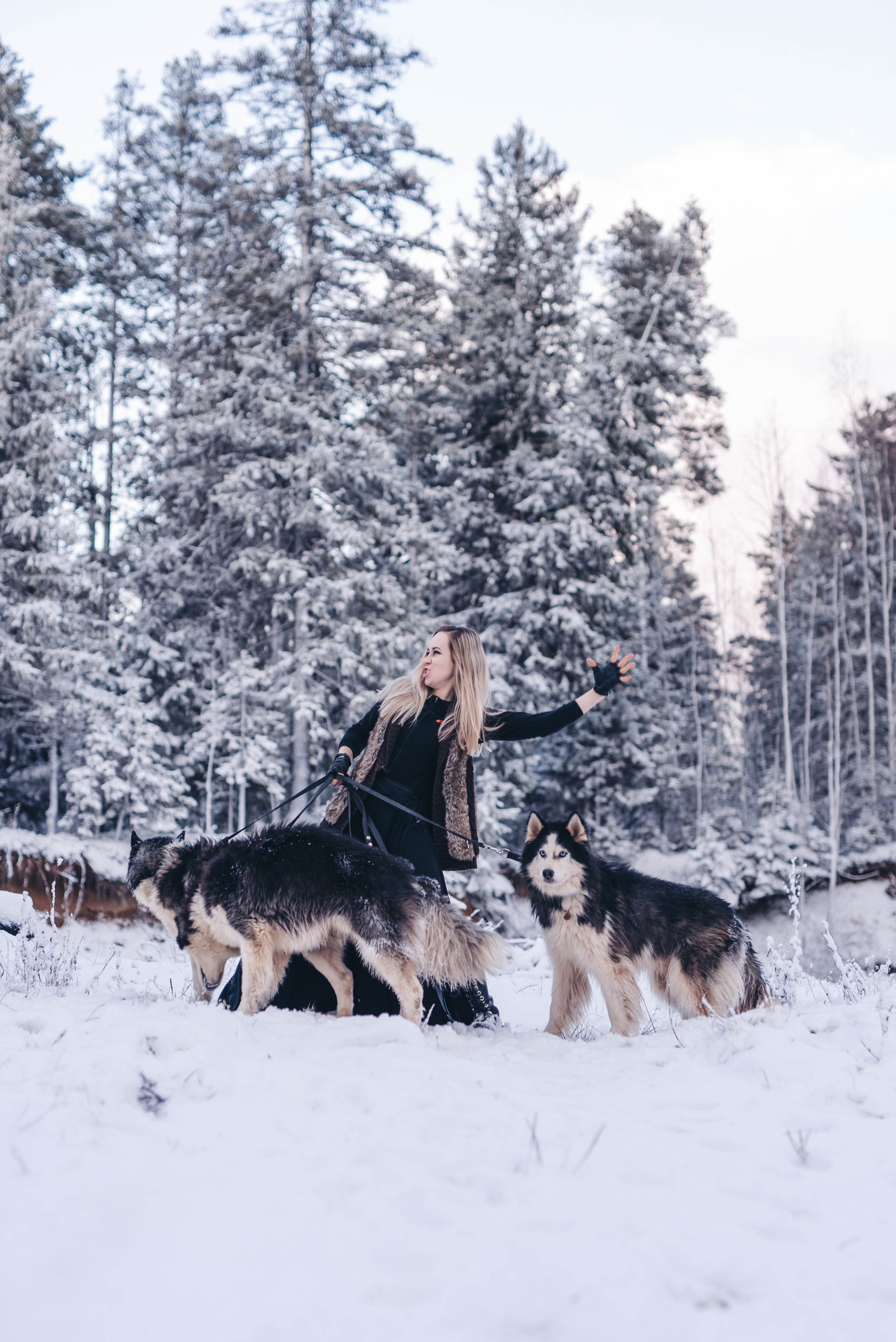 Сказка с хаски. Фотограф в Санкт-Петербурге и Ленинградской области