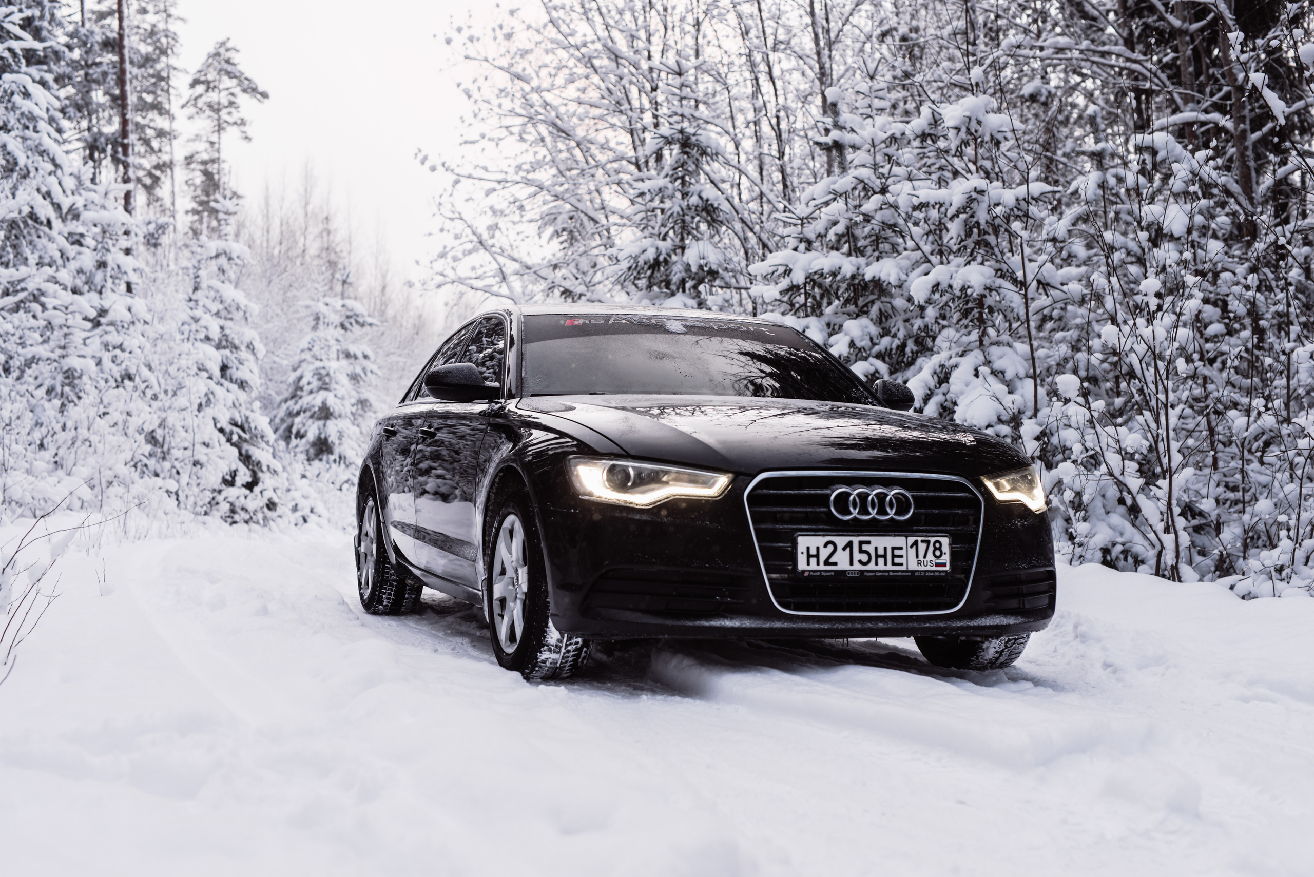 AUDI в лесу. Фотограф в Санкт-Петербурге и Ленинградской области