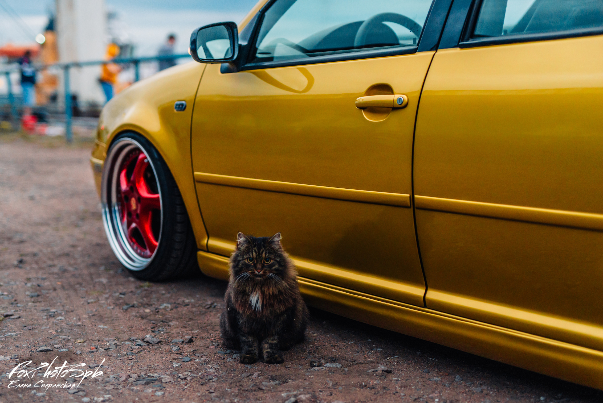 Volkswagen Golf Lemonade. Фотограф в Санкт-Петербурге и Ленинградской области