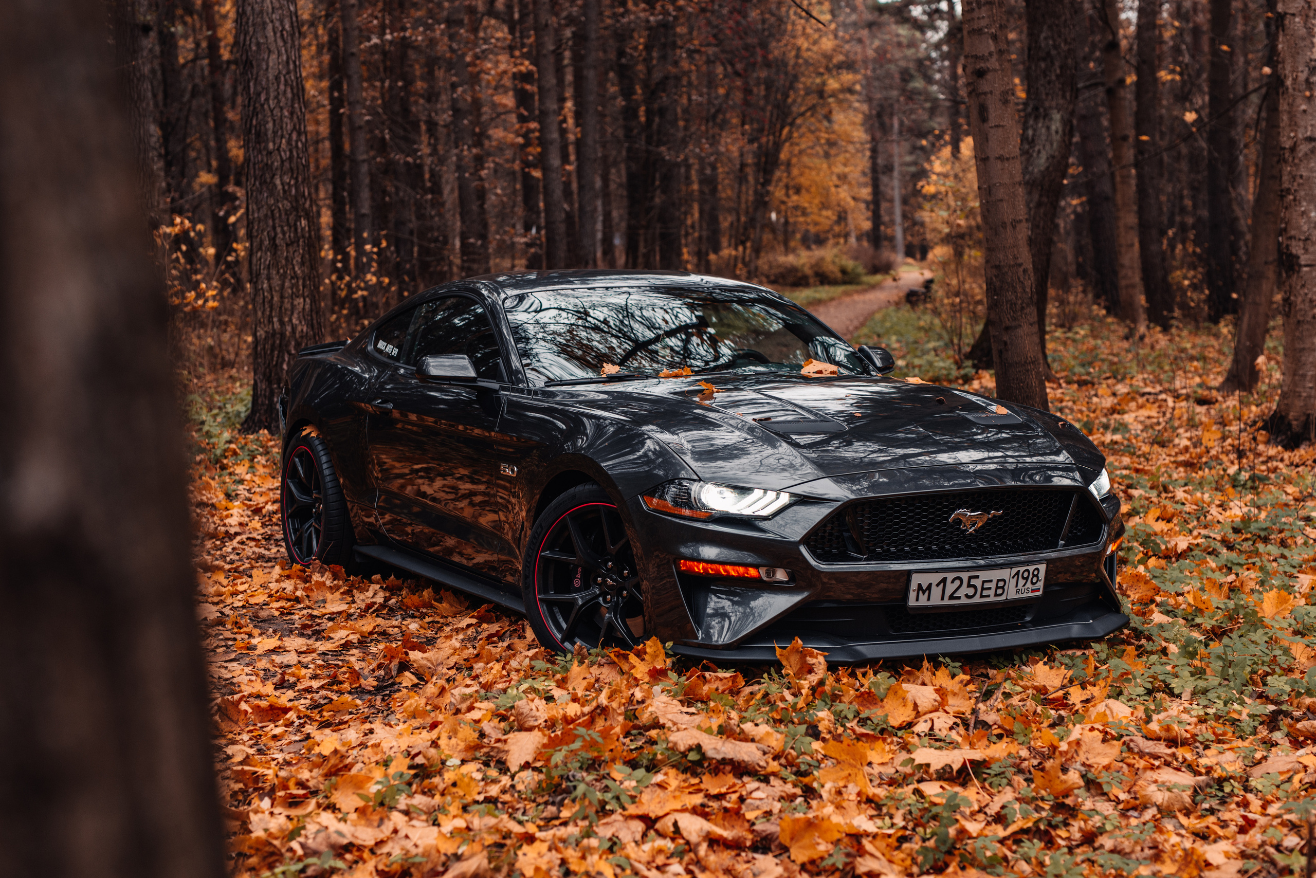 Фотограф в Санкт-Петербурге и Ленинградской области