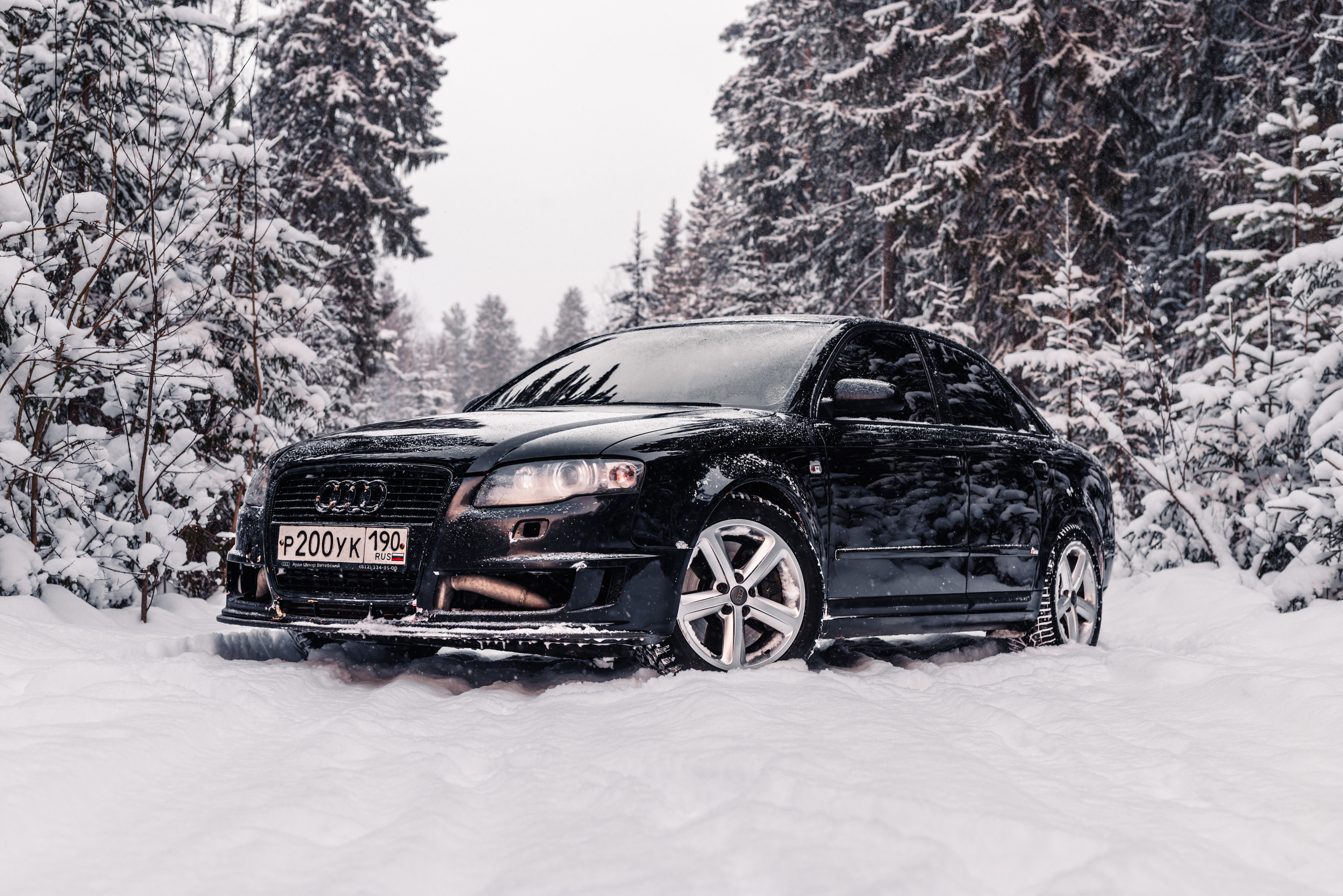 AUDI в лесу. Фотограф в Санкт-Петербурге и Ленинградской области