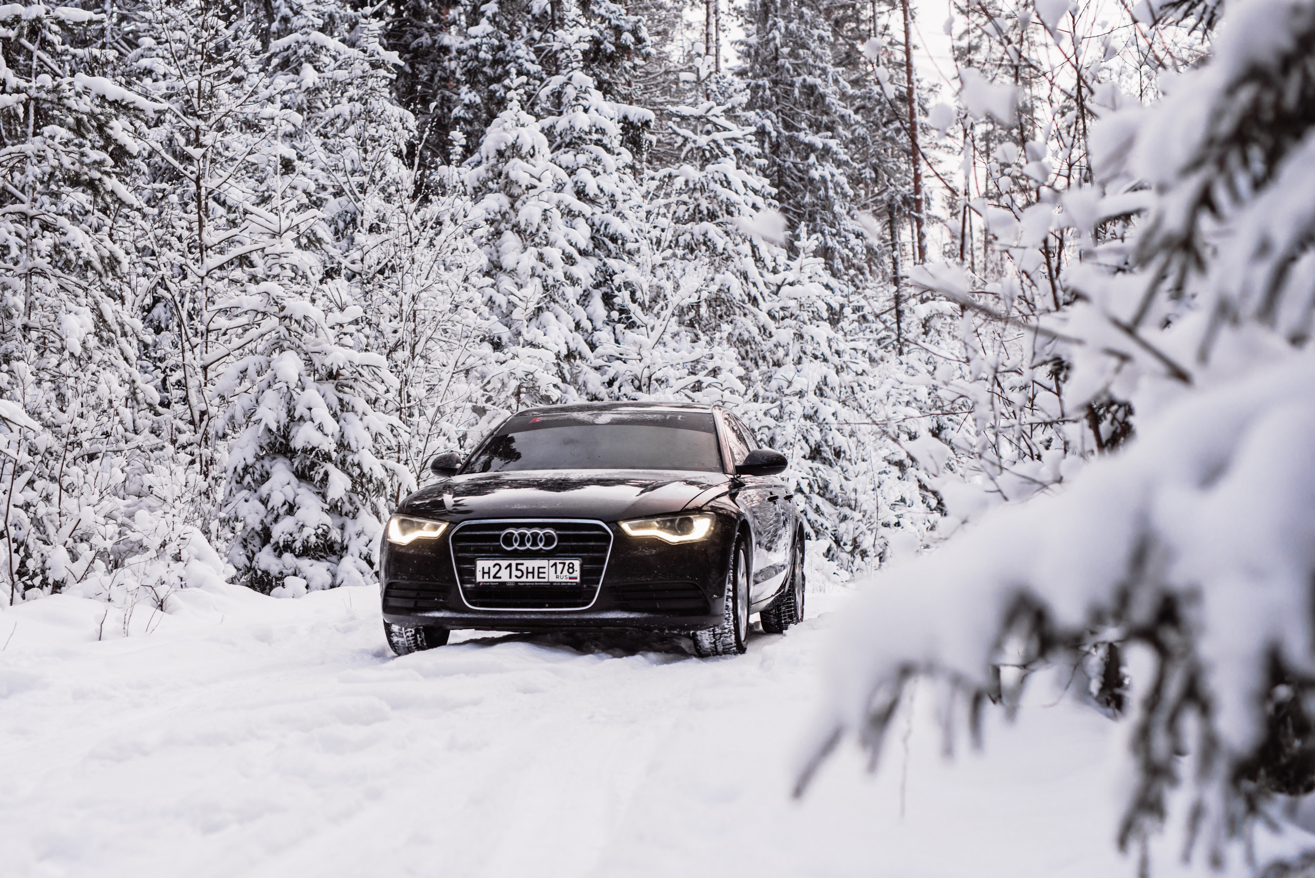 AUDI в лесу. Фотограф в Санкт-Петербурге и Ленинградской области