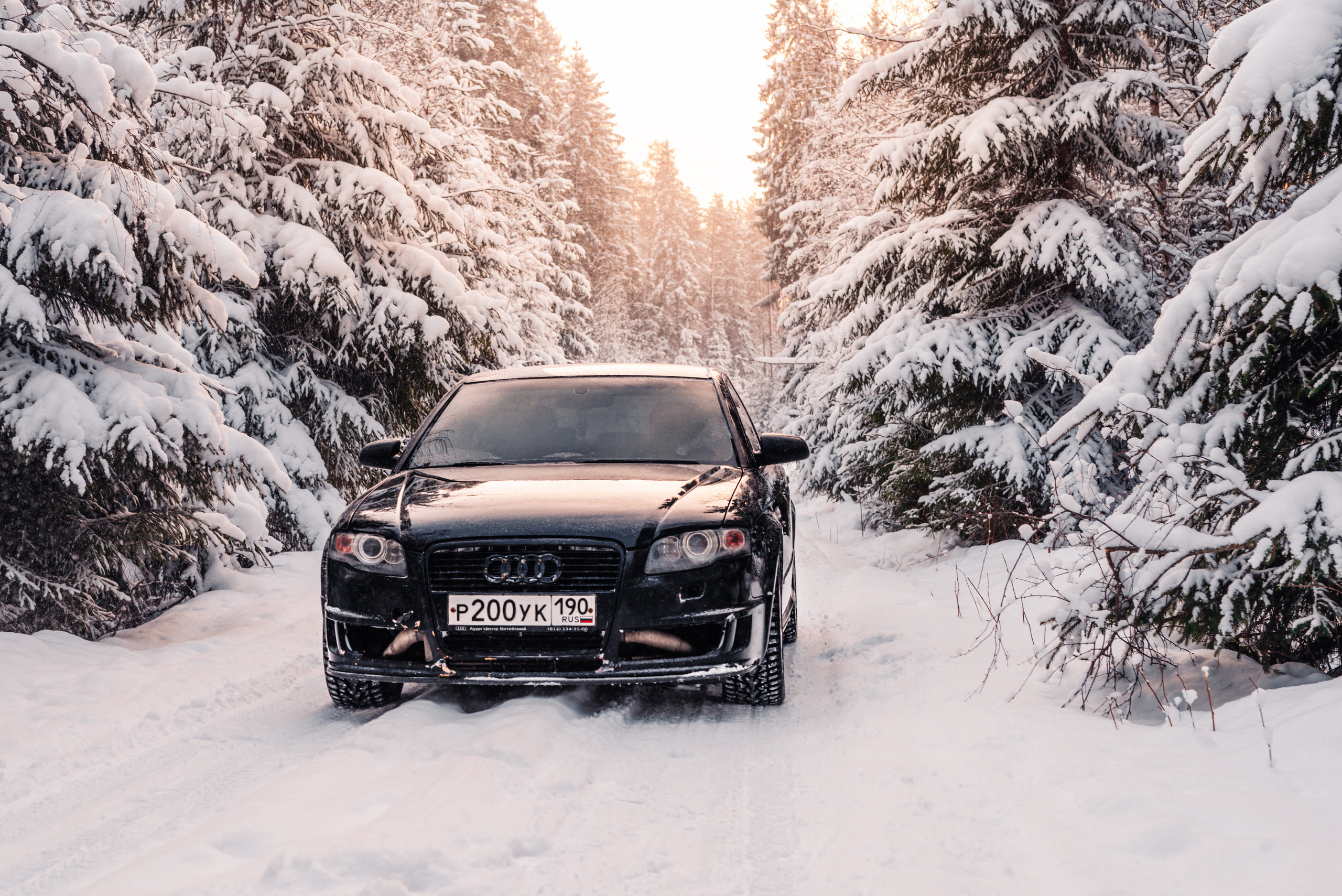 AUDI в лесу. Фотограф в Санкт-Петербурге и Ленинградской области
