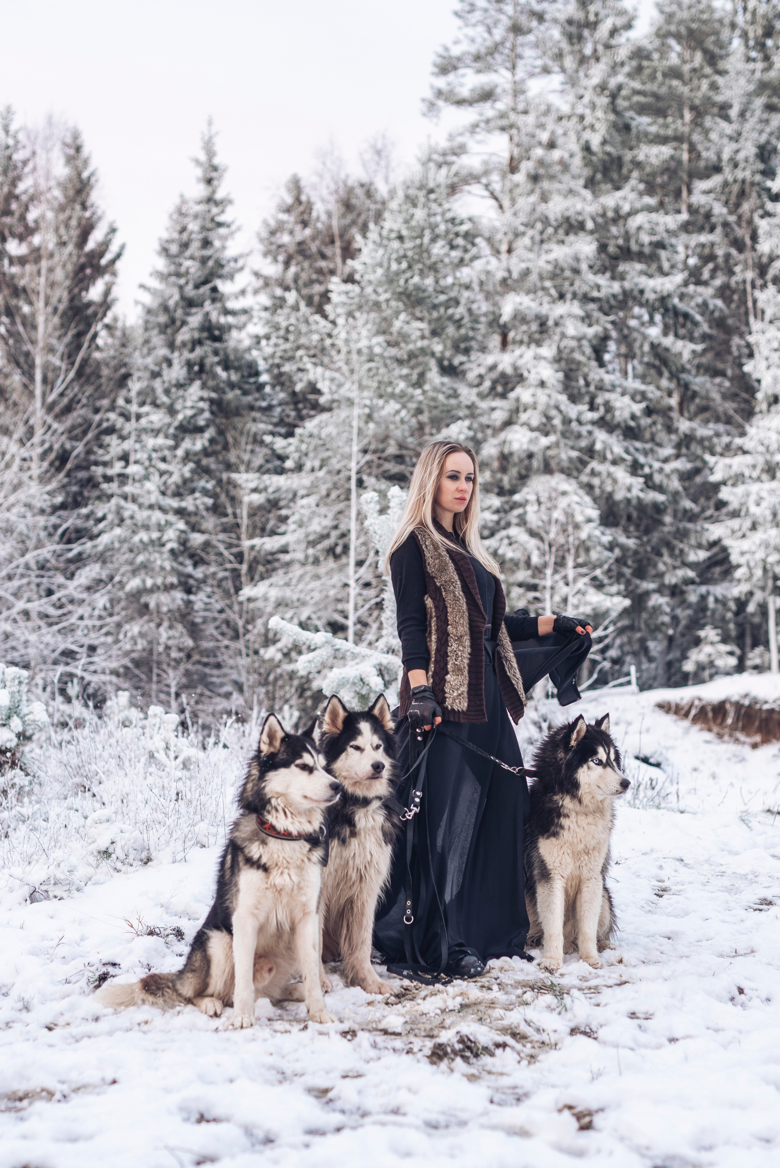 Сказка с хаски. Фотограф в Санкт-Петербурге и Ленинградской области