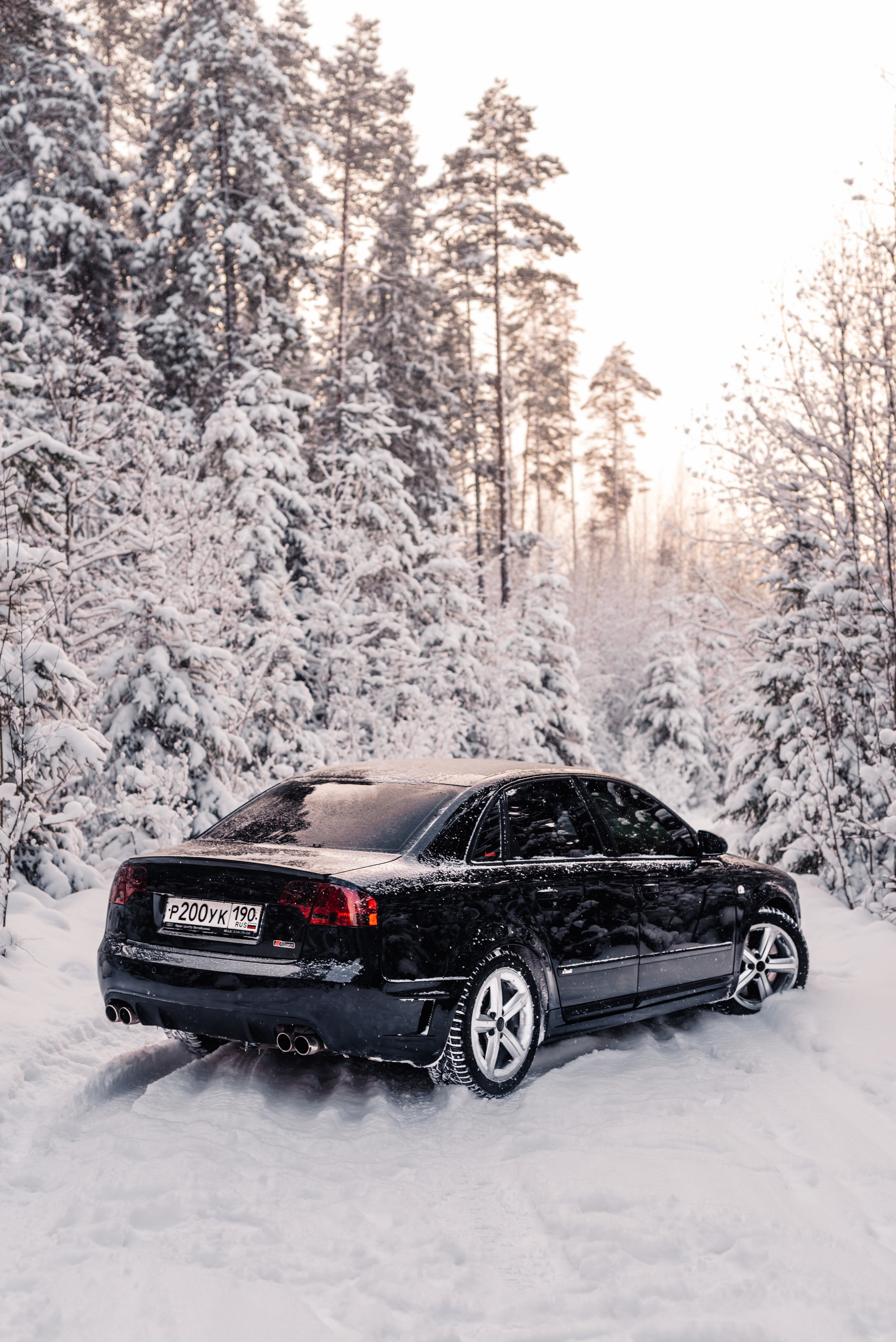 AUDI в лесу. Фотограф в Санкт-Петербурге и Ленинградской области