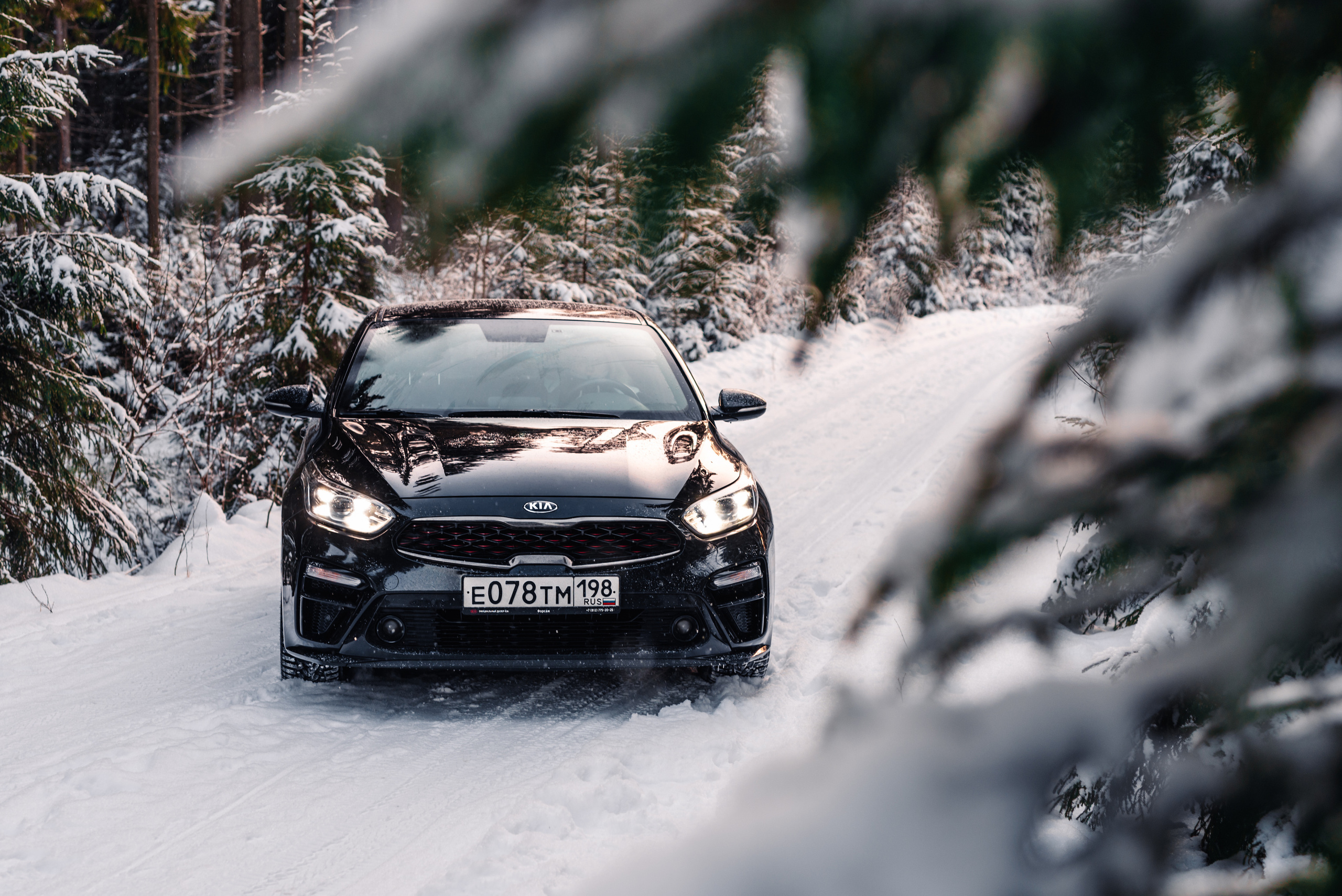 Kia cerato. Фотограф в Санкт-Петербурге и Ленинградской области