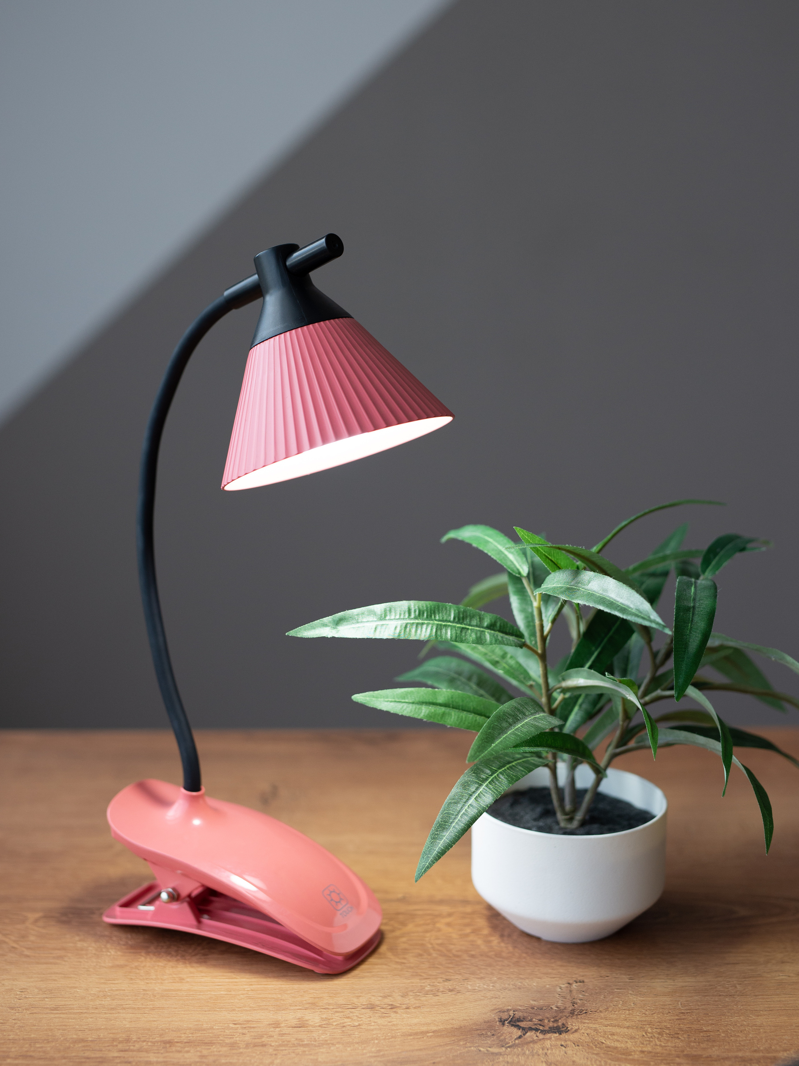 Лампы. Фотограф в Санкт-Петербурге и Ленинградской области