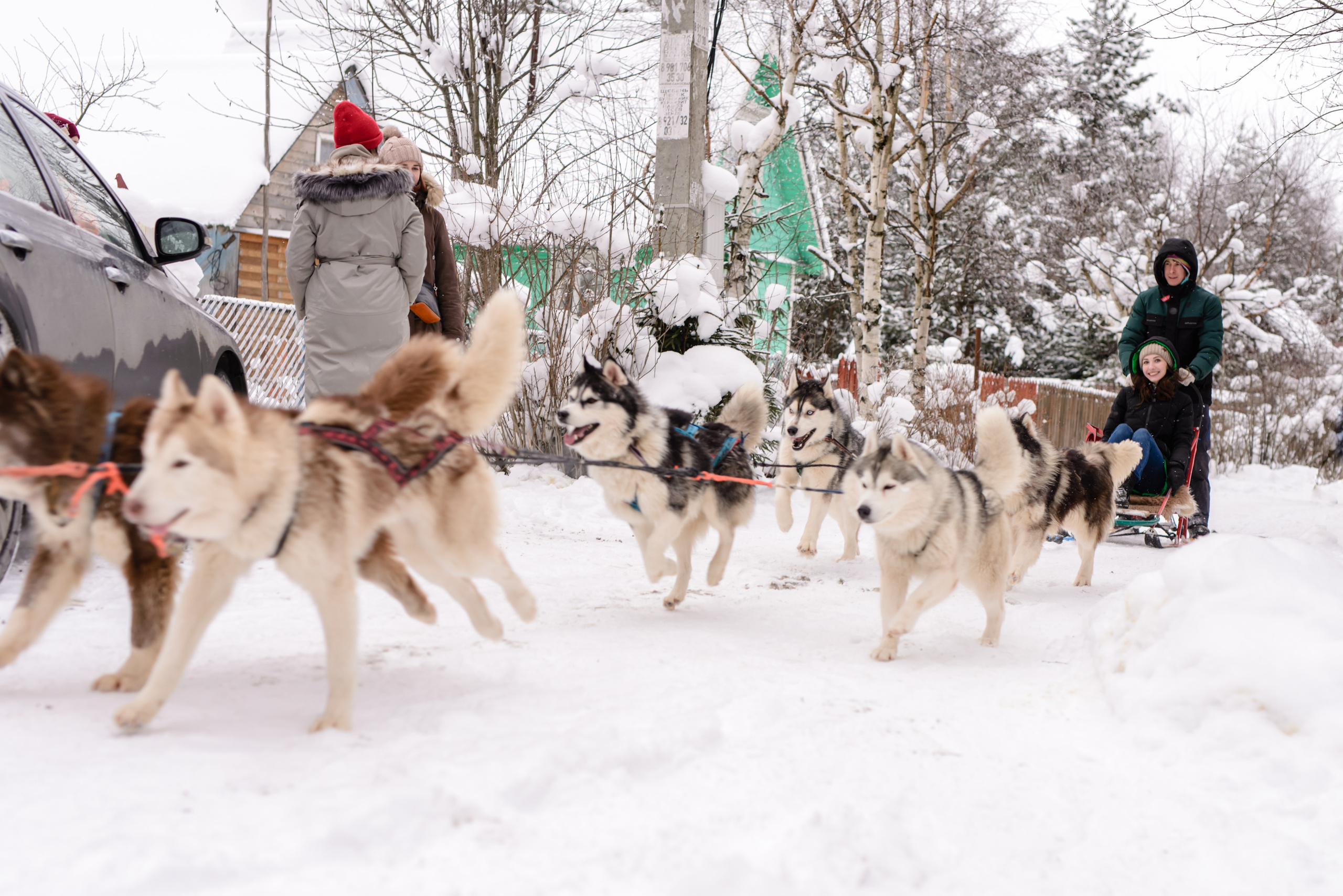 Огнен и Александра. Фотограф в Санкт-Петербурге и Ленинградской области
