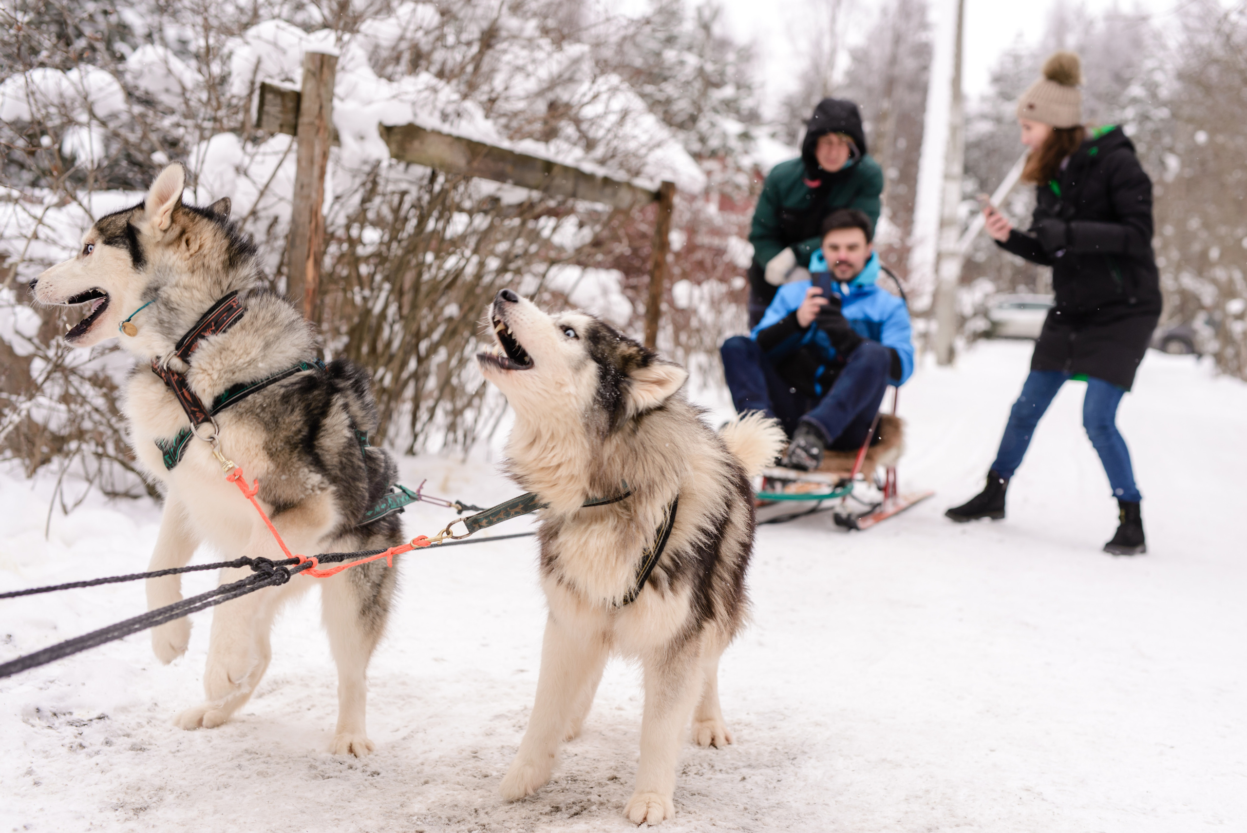 Огнен и Александра. Фотограф в Санкт-Петербурге и Ленинградской области