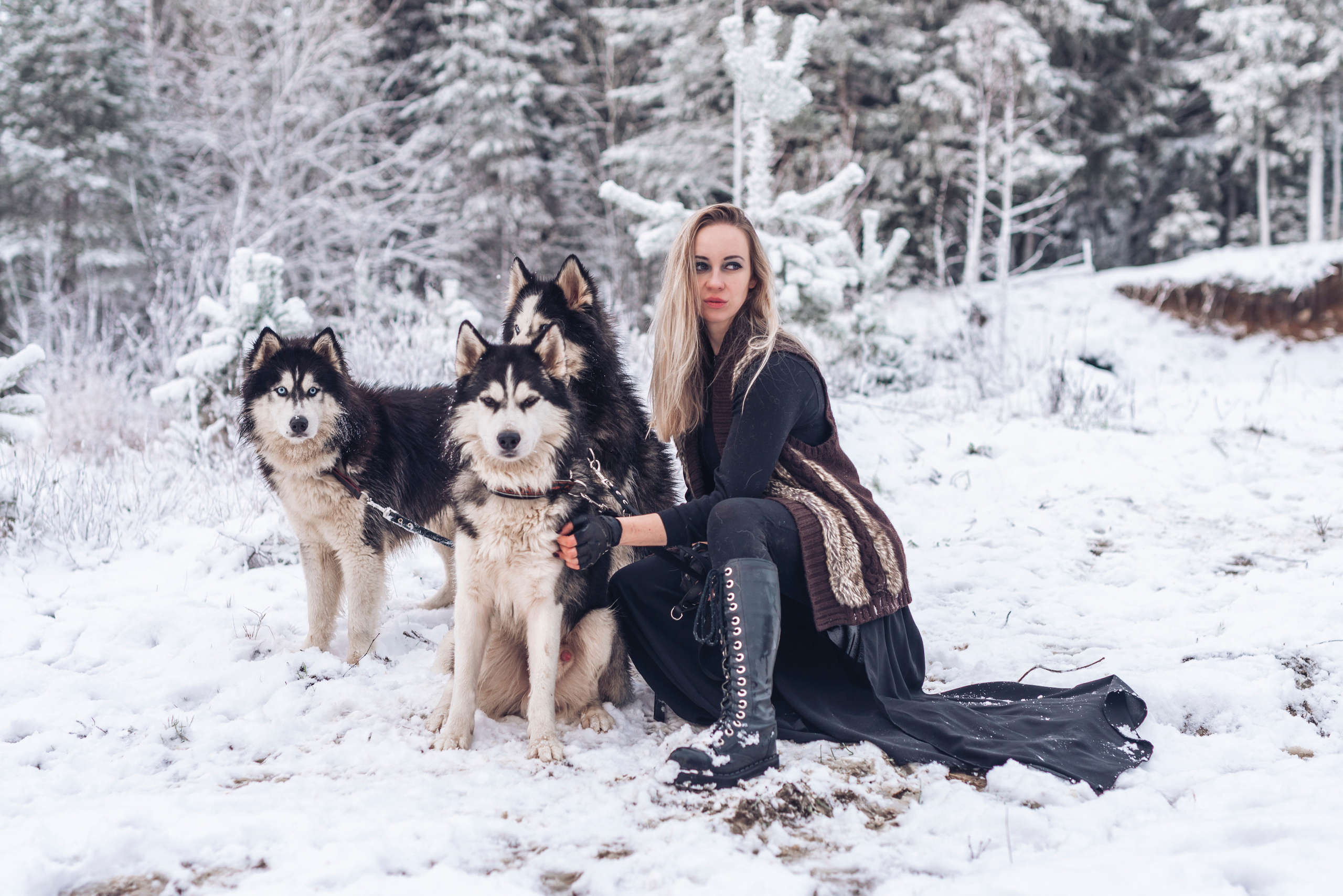 Сказка с хаски. Фотограф в Санкт-Петербурге и Ленинградской области