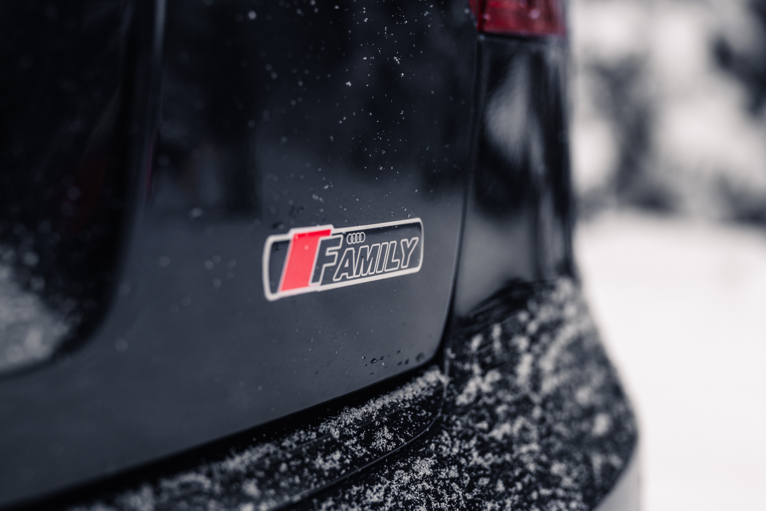 AUDI в лесу. Фотограф в Санкт-Петербурге и Ленинградской области