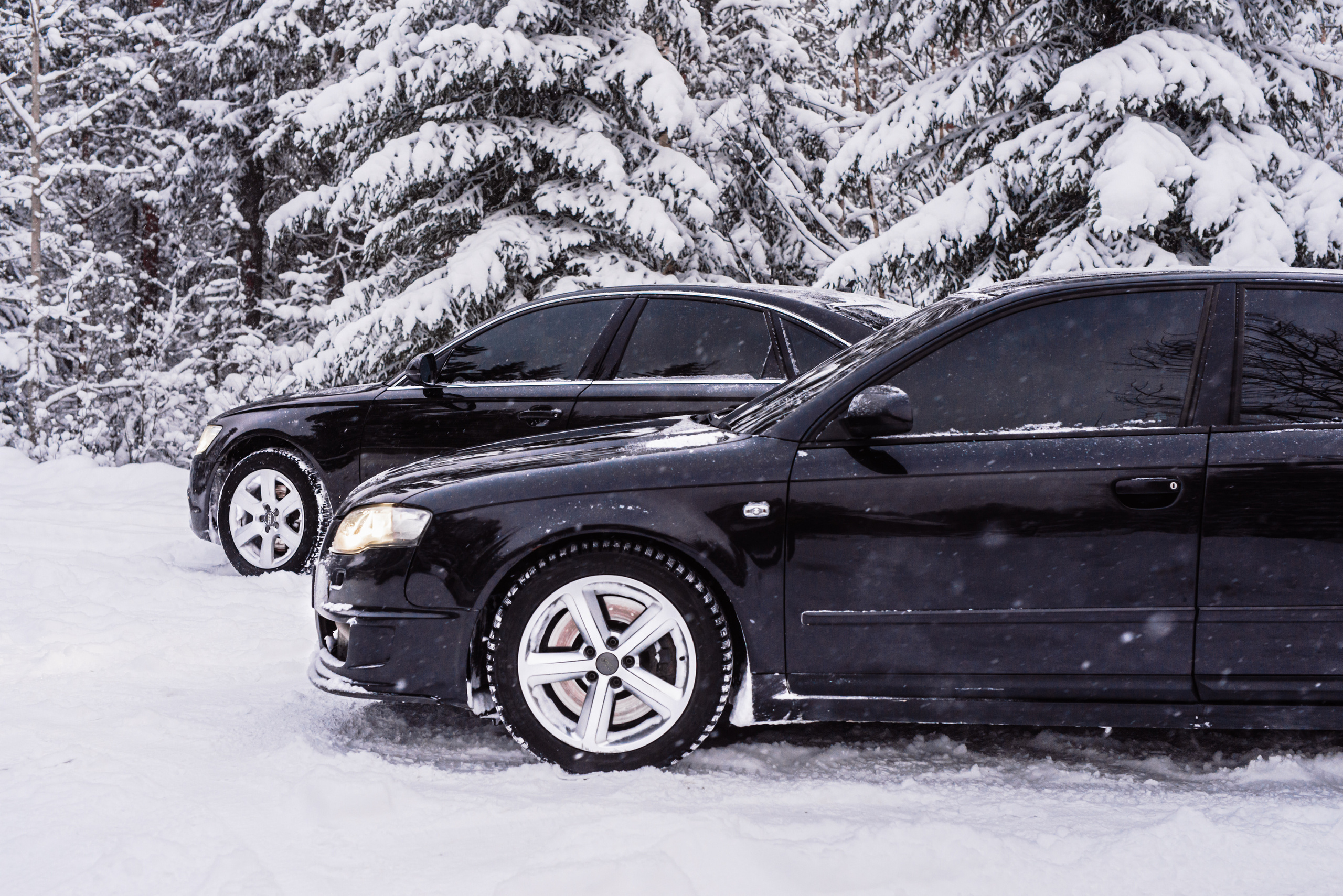 AUDI в лесу. Фотограф в Санкт-Петербурге и Ленинградской области