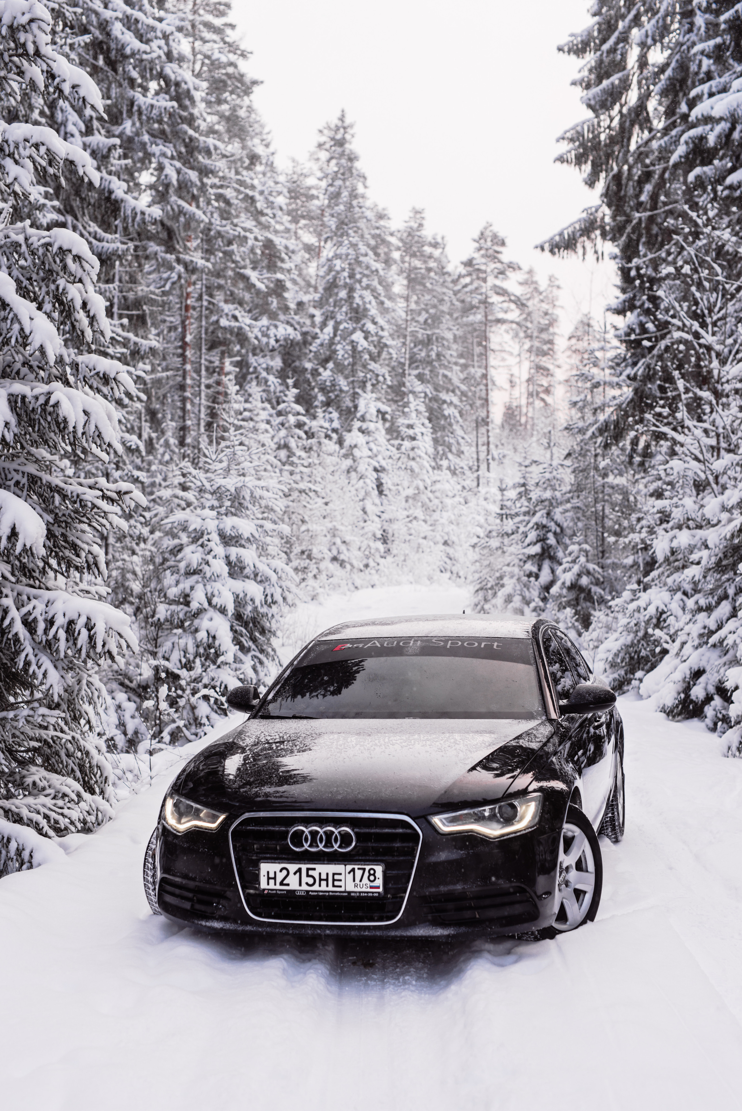 AUDI в лесу. Фотограф в Санкт-Петербурге и Ленинградской области